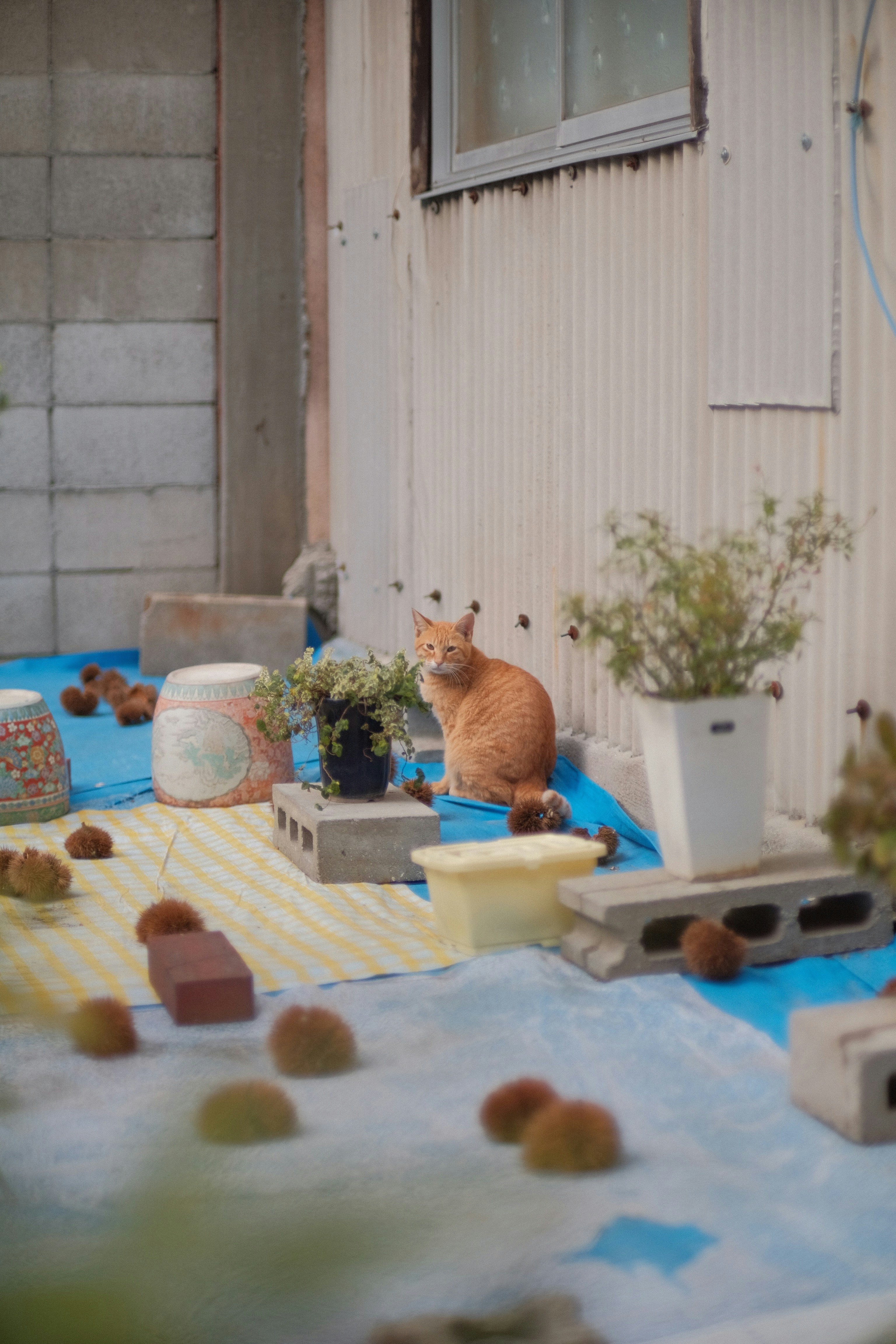 The Playroom Playground (image credits: unsplash)