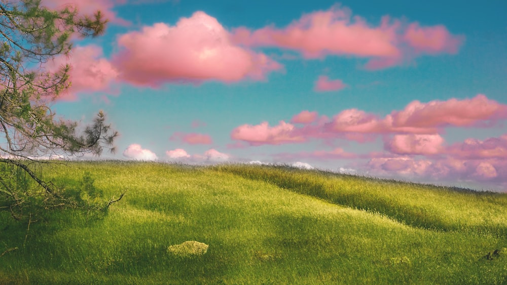 a grassy field with trees and clouds in the sky