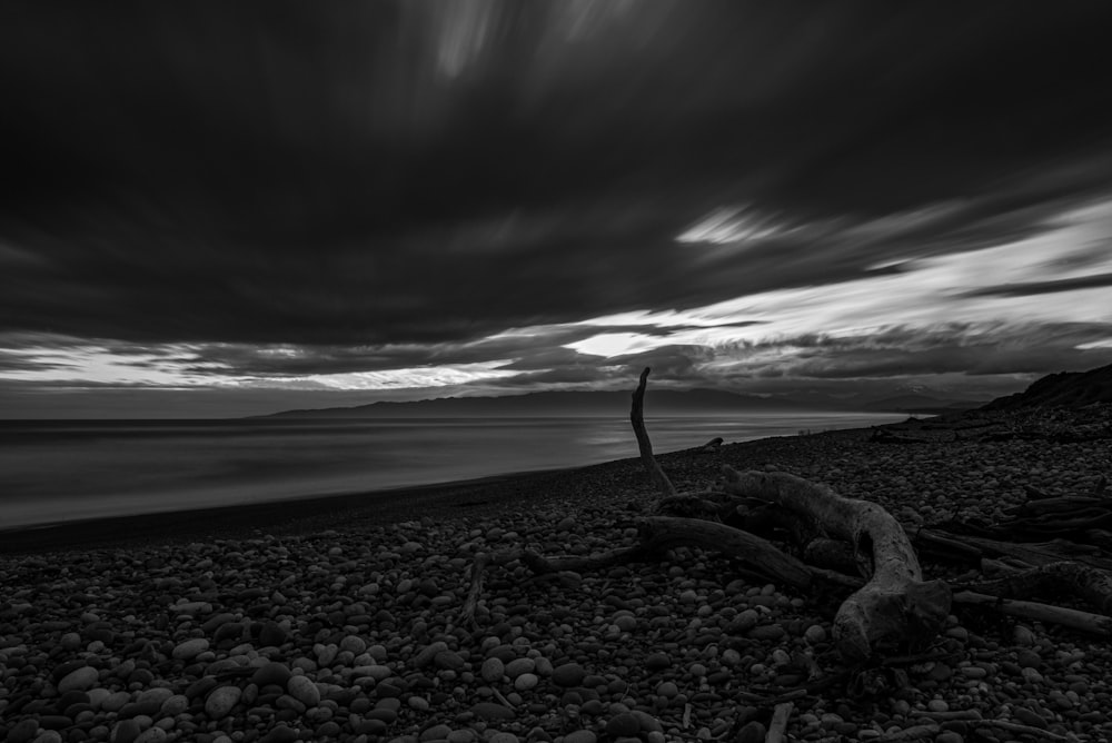 a rocky beach with a large body of water in the background