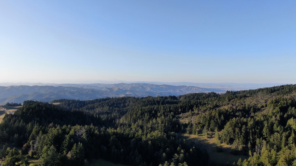 a landscape with trees and hills