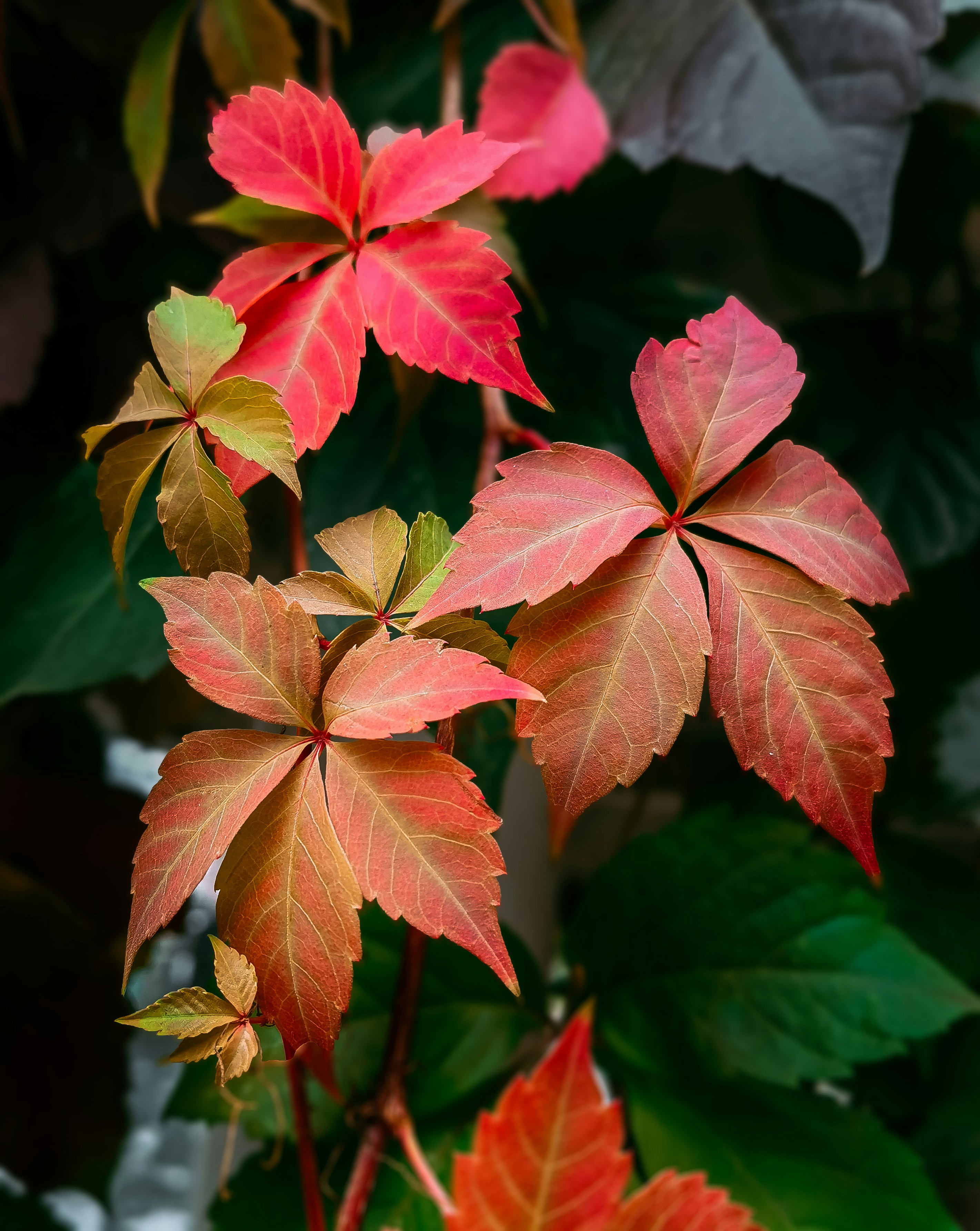 Field Guide (2026): Portable Tools, Smart Lighting, and Power Resilience for Accurate On‑Site Valuations