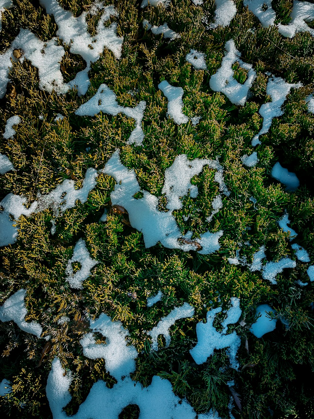 a close up of some snow