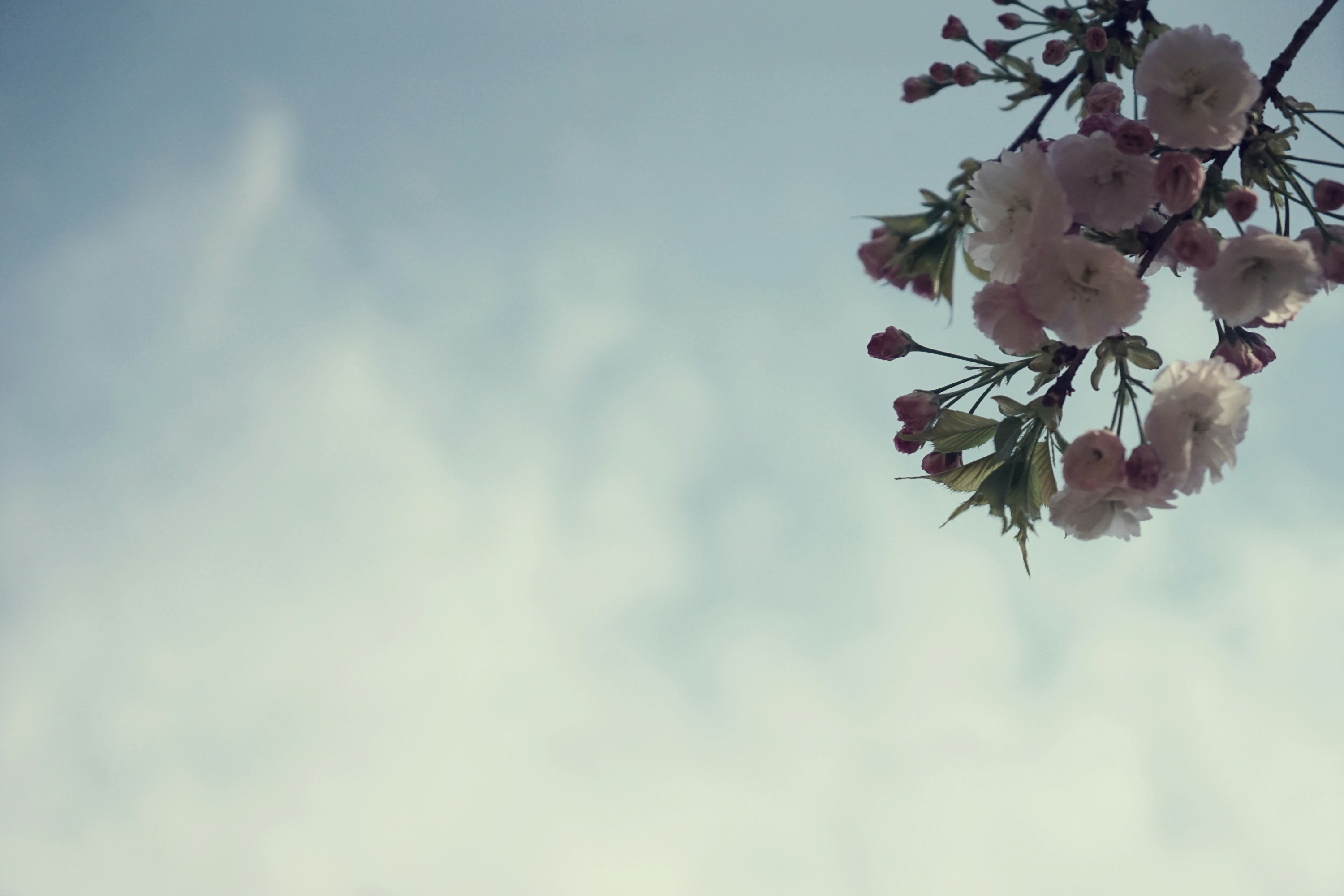 Photo by chooseyourstories