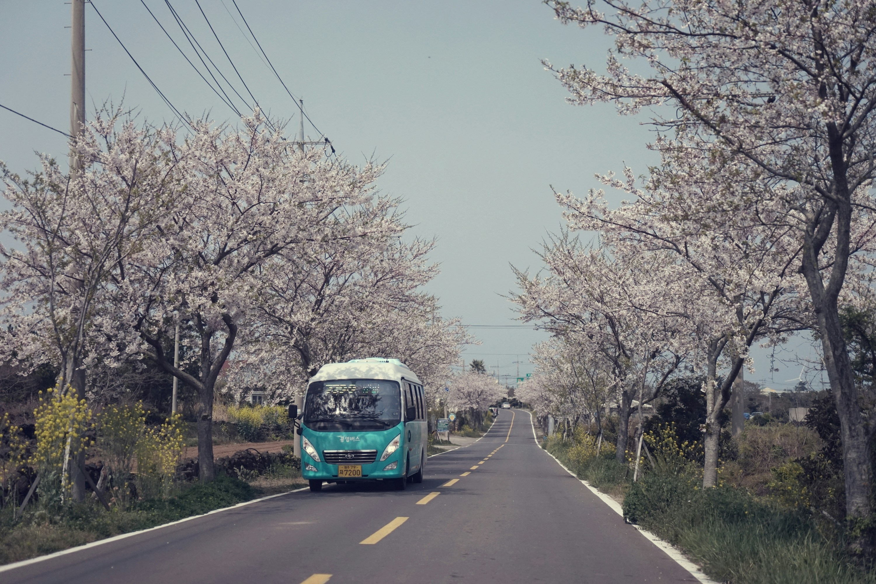 a bus travels down the road