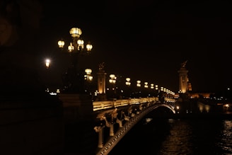 a bridge with lights on it