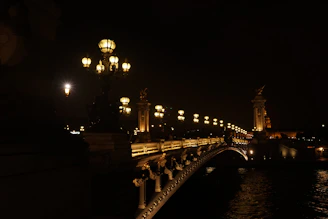 a bridge with lights on it