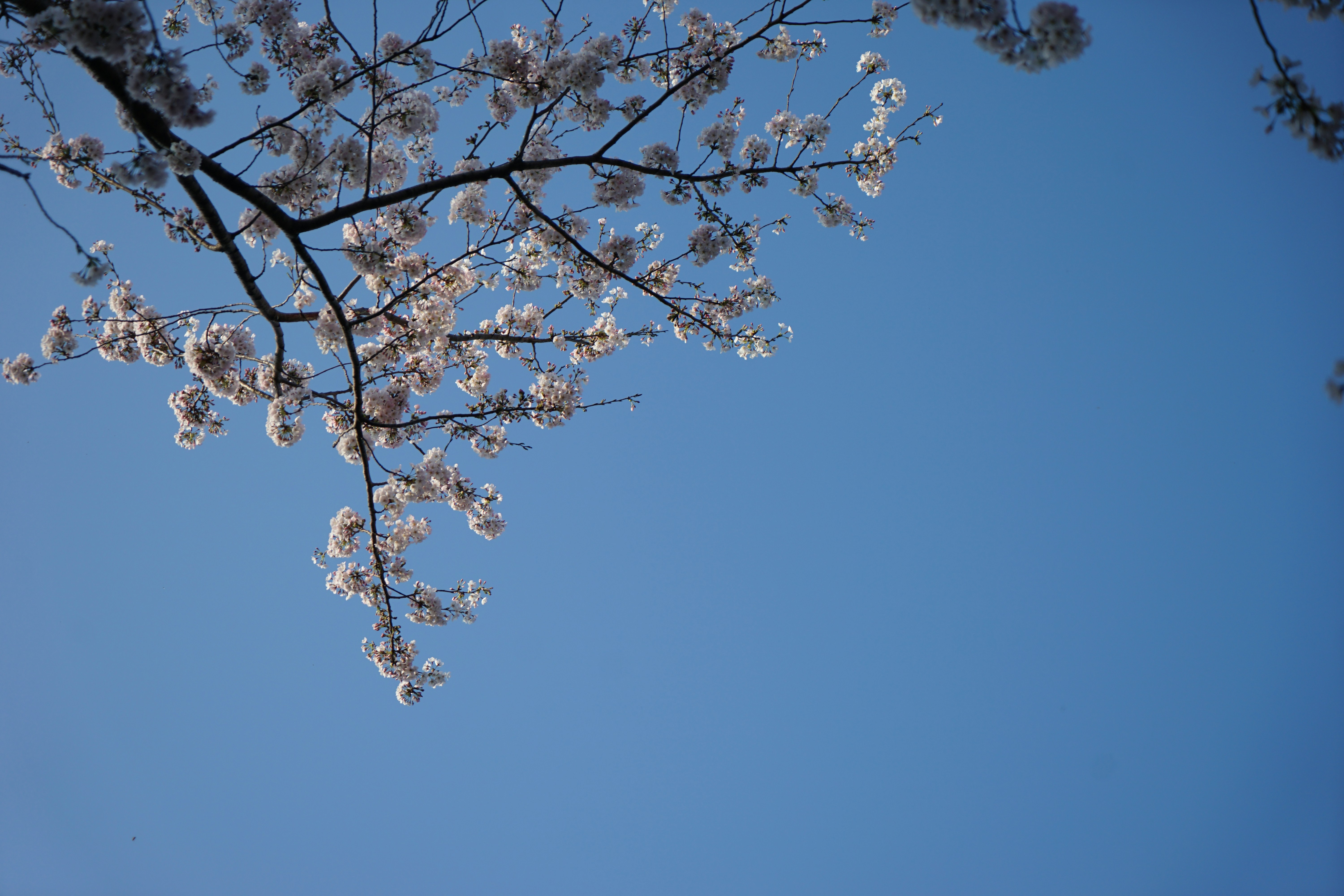 Photo by chooseyourstories