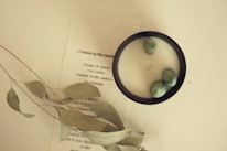 Close-up of a black candle surrounded by green leaves and crystals on a white surface.