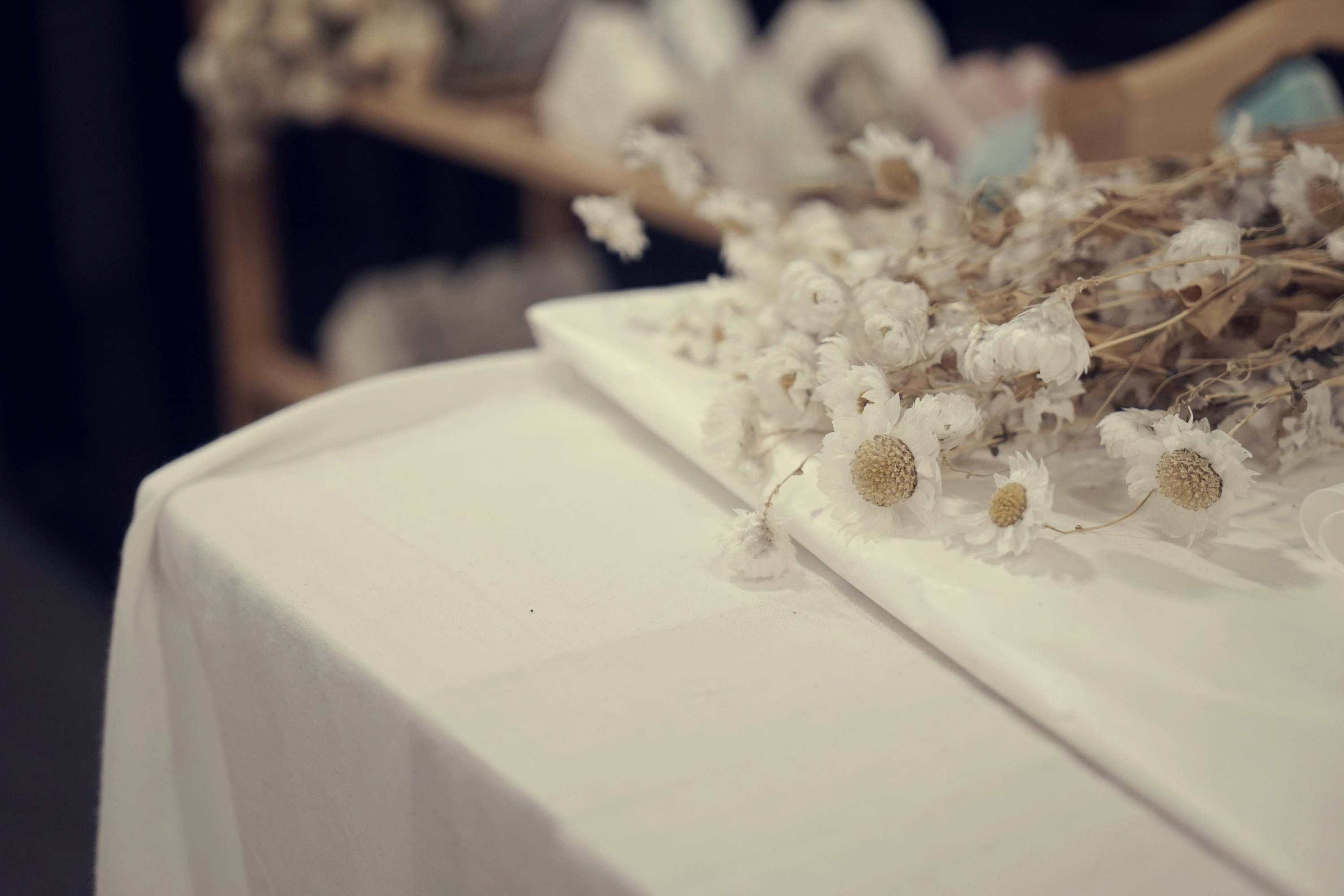 Photo by chooseyourstories