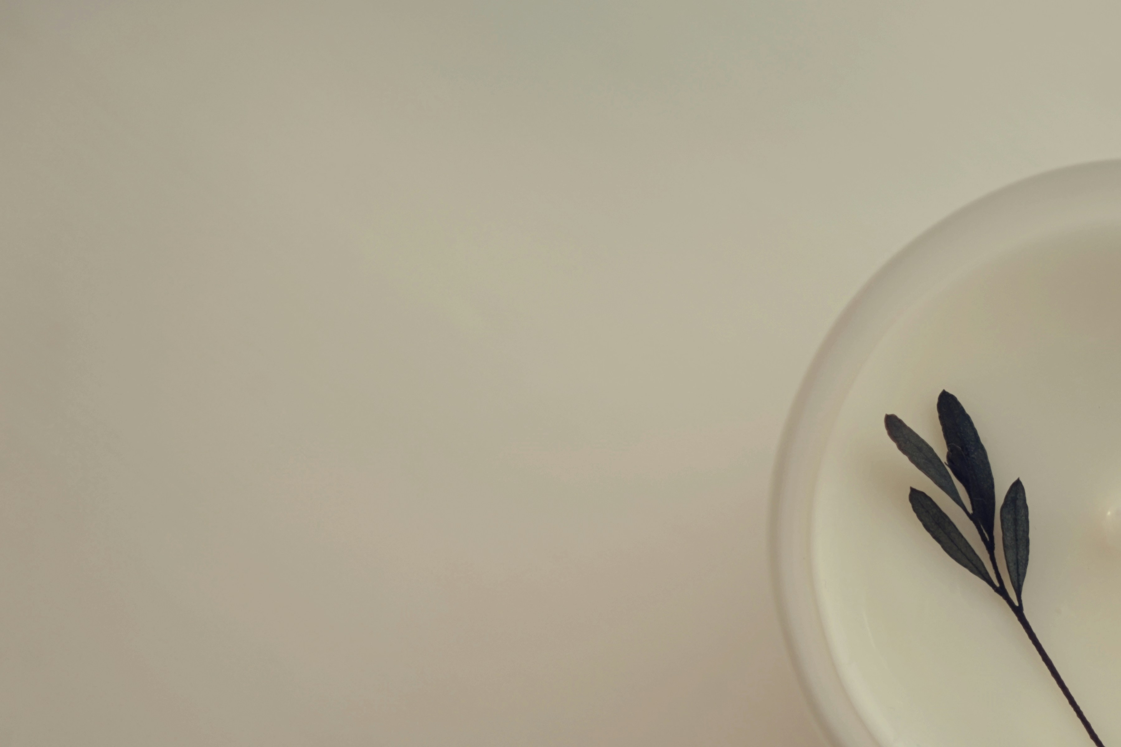 Photo by chooseyourstories