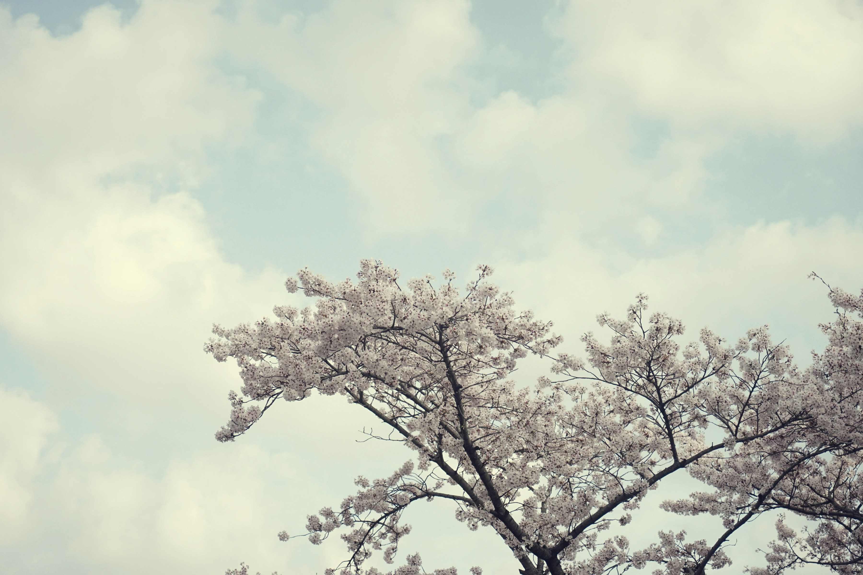 Photo by chooseyourstories