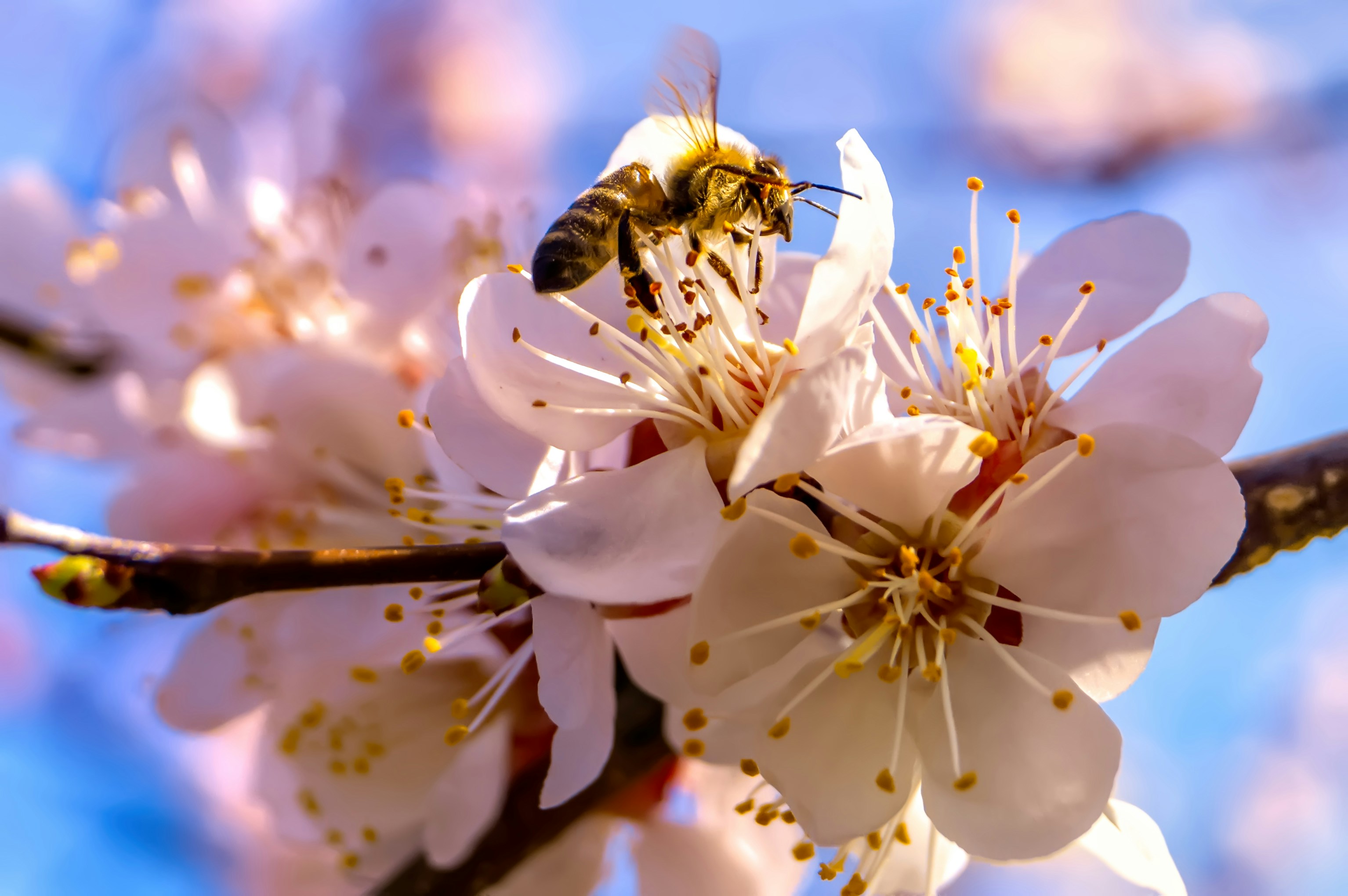 Photo by grindcorefan