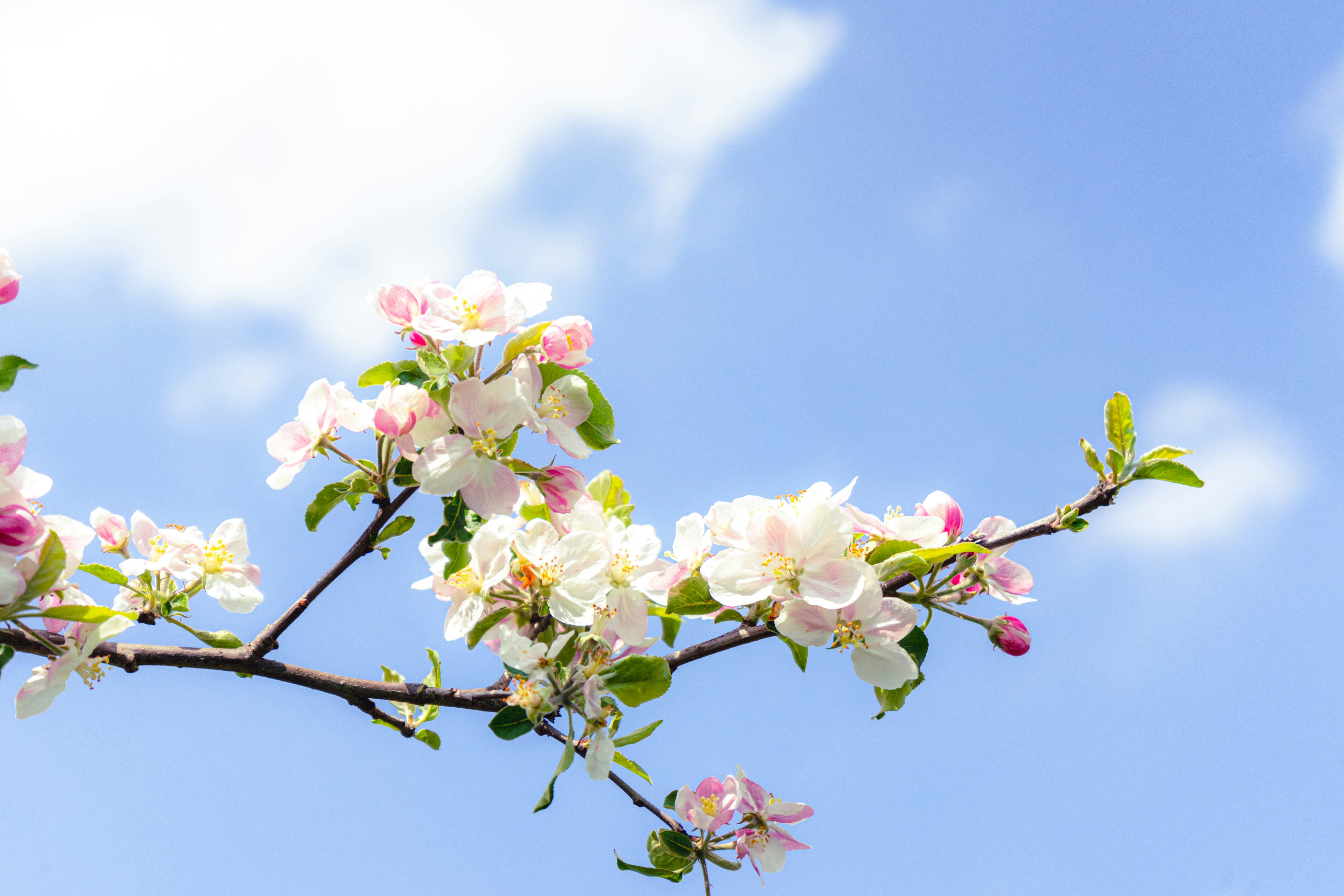 Photo by virussinside