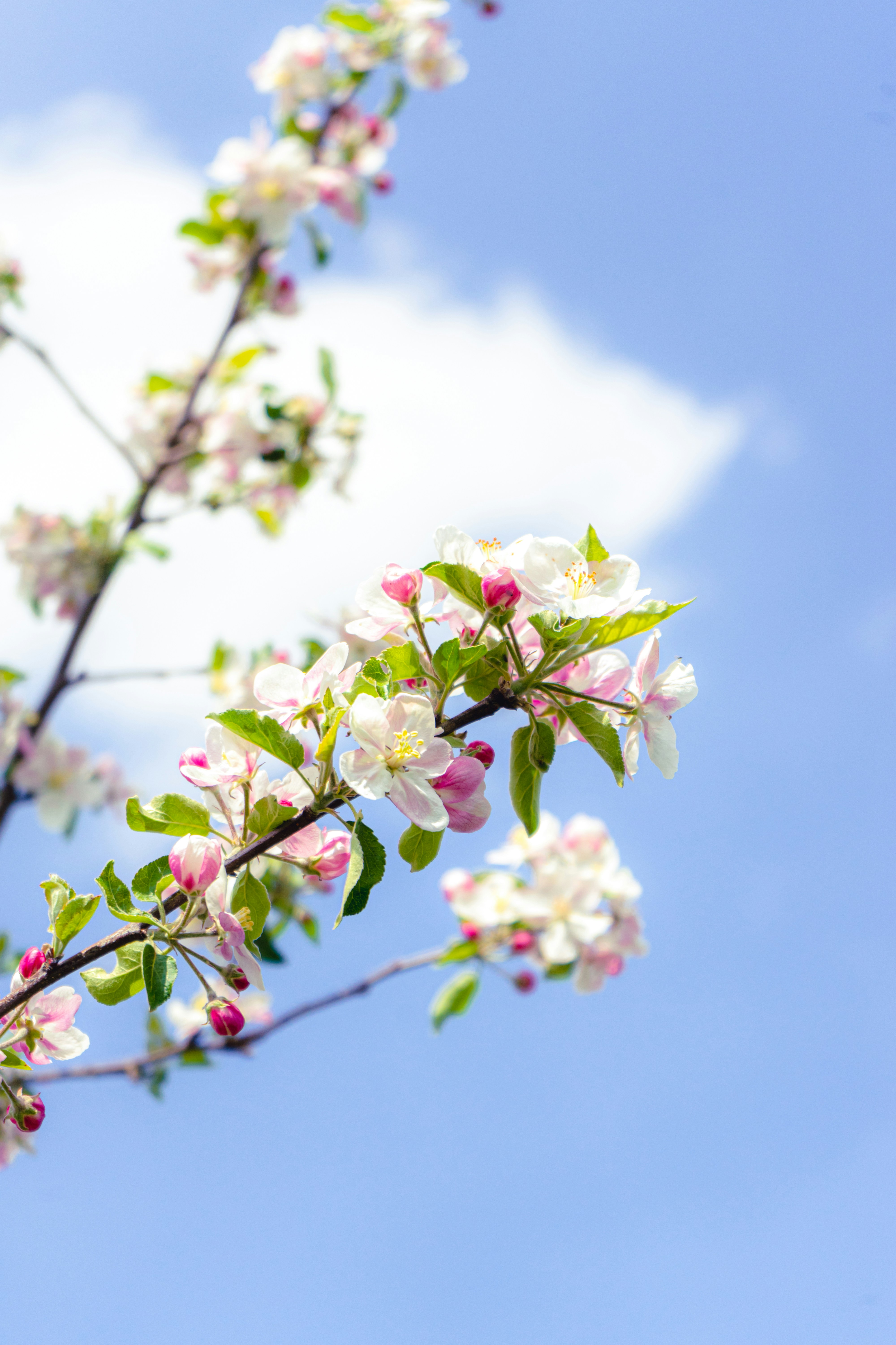 Photo by virussinside