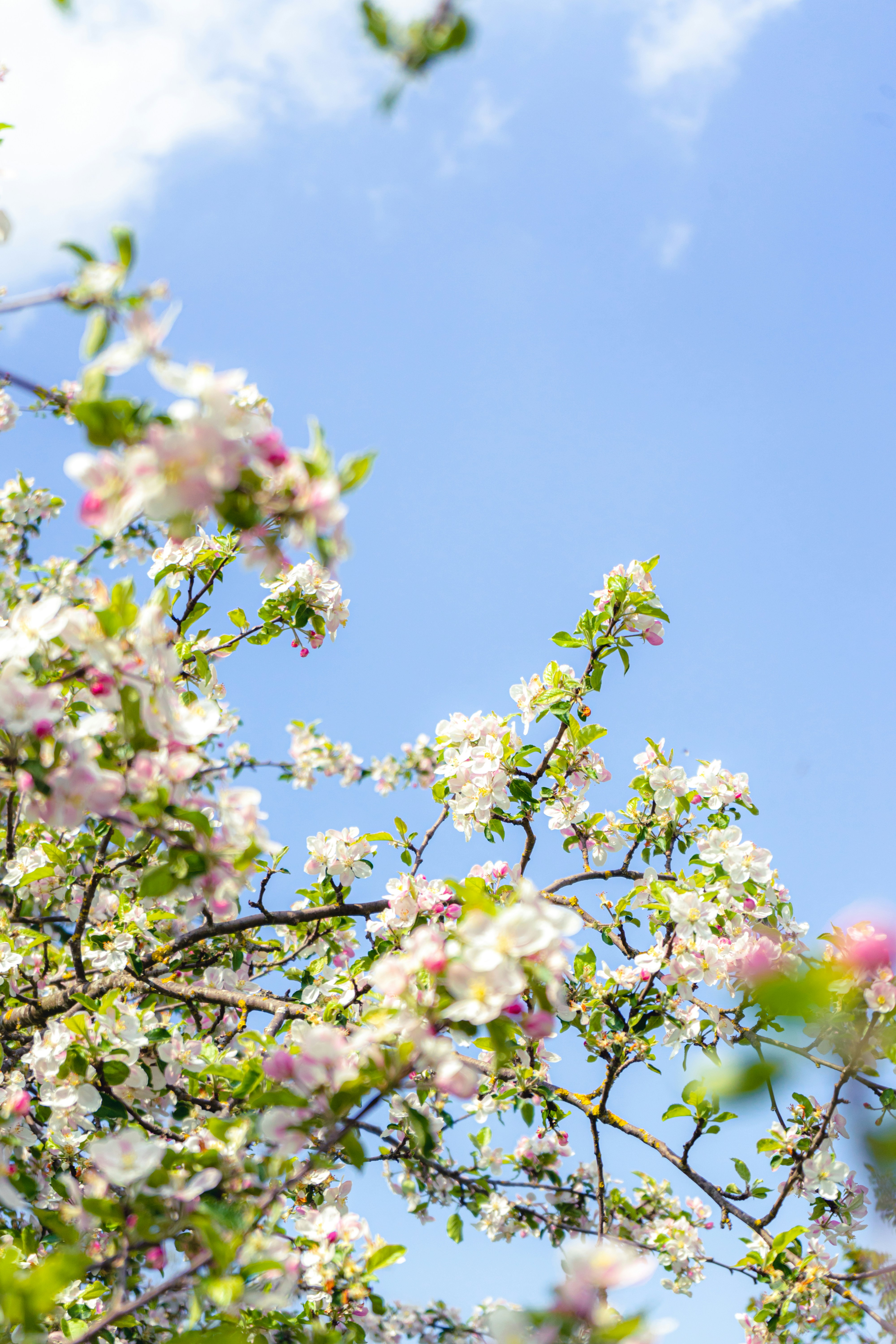 Photo by virussinside