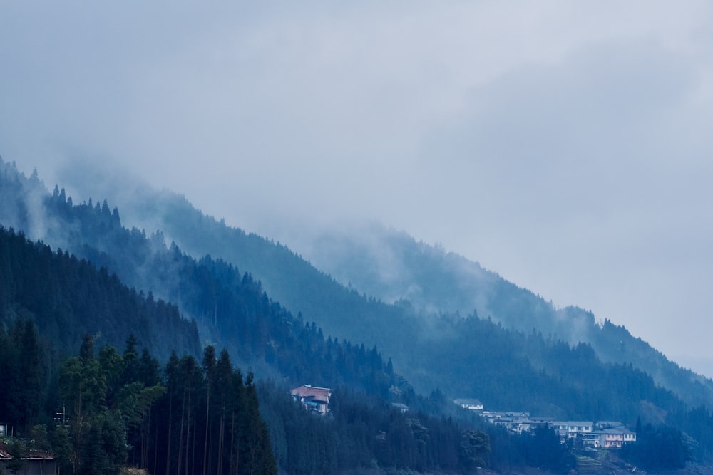 a snowy mountain with trees