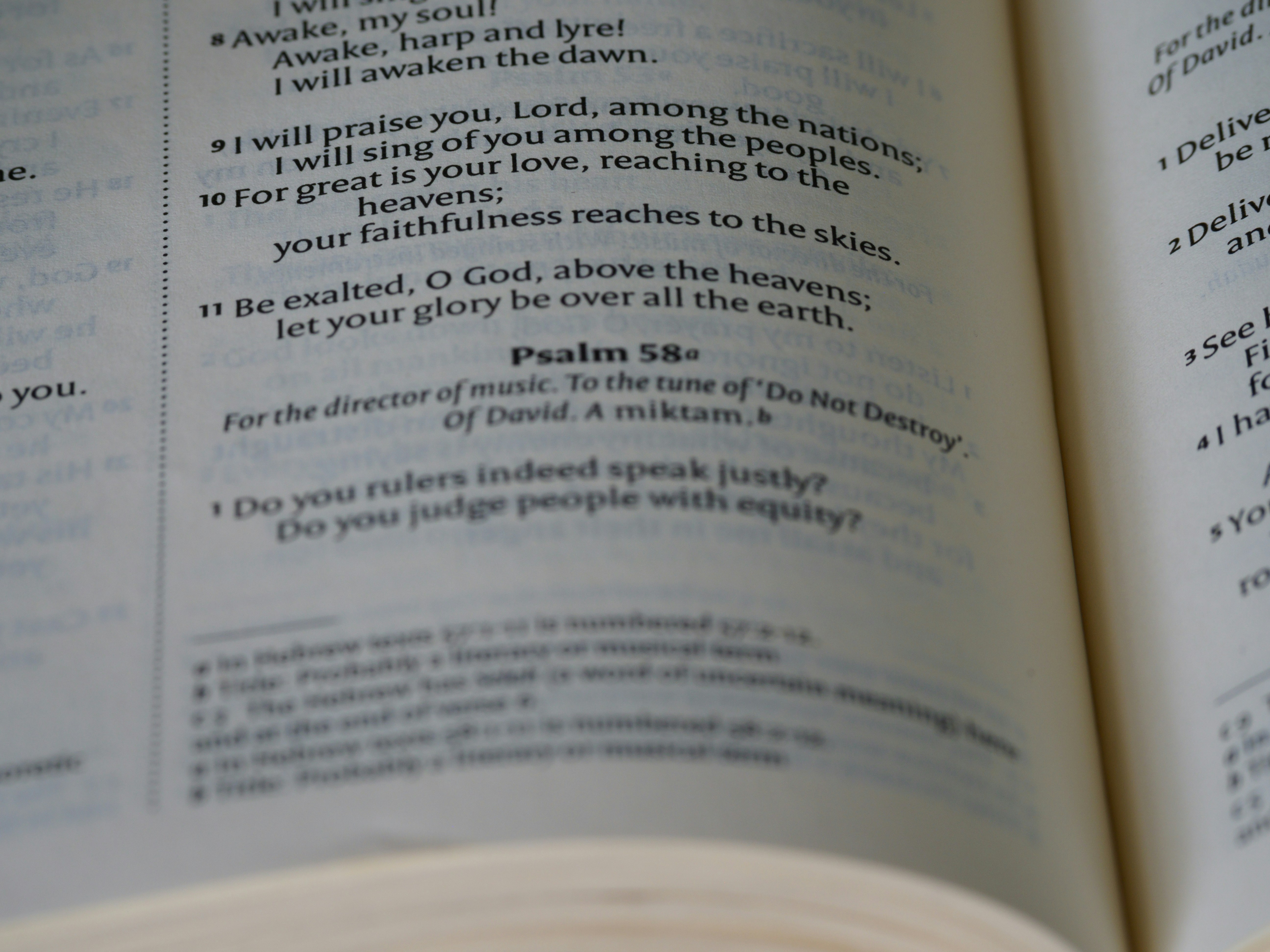 photo-1652427818930-94fb6e27b9c9?ixid=M3