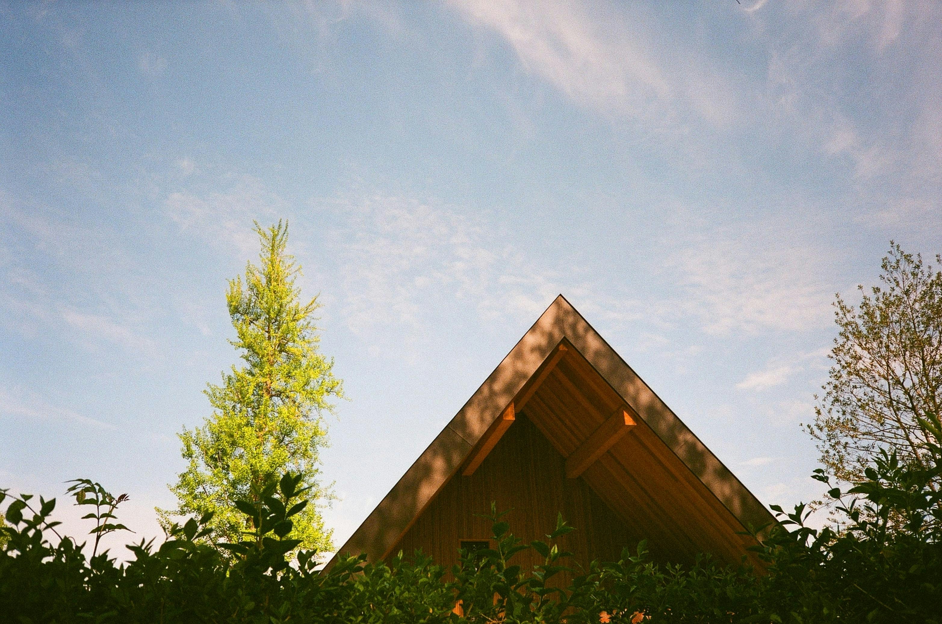 Expired Fujicolor C200 w/ Fuji DL-150