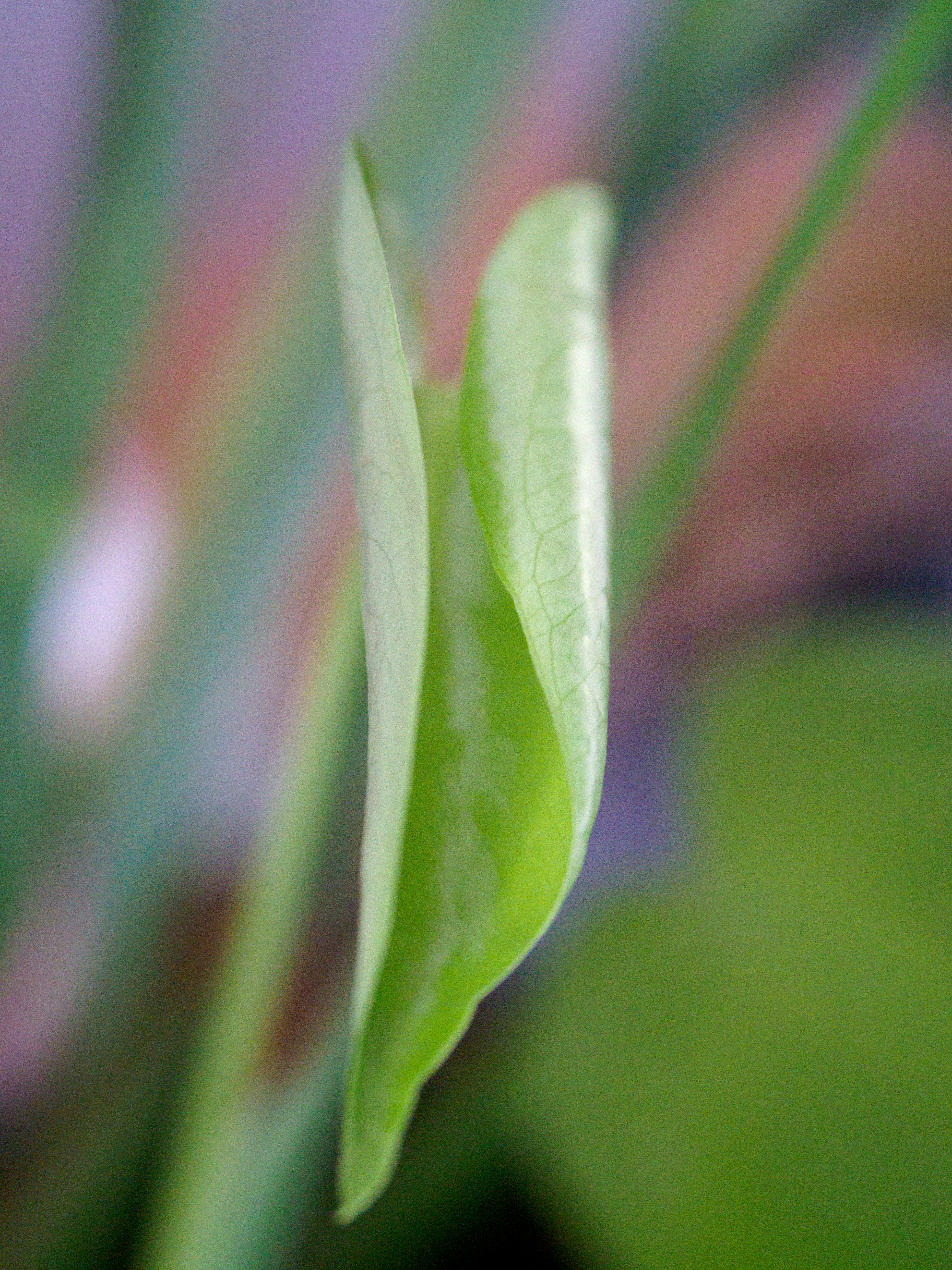 Photo by brett_jordan