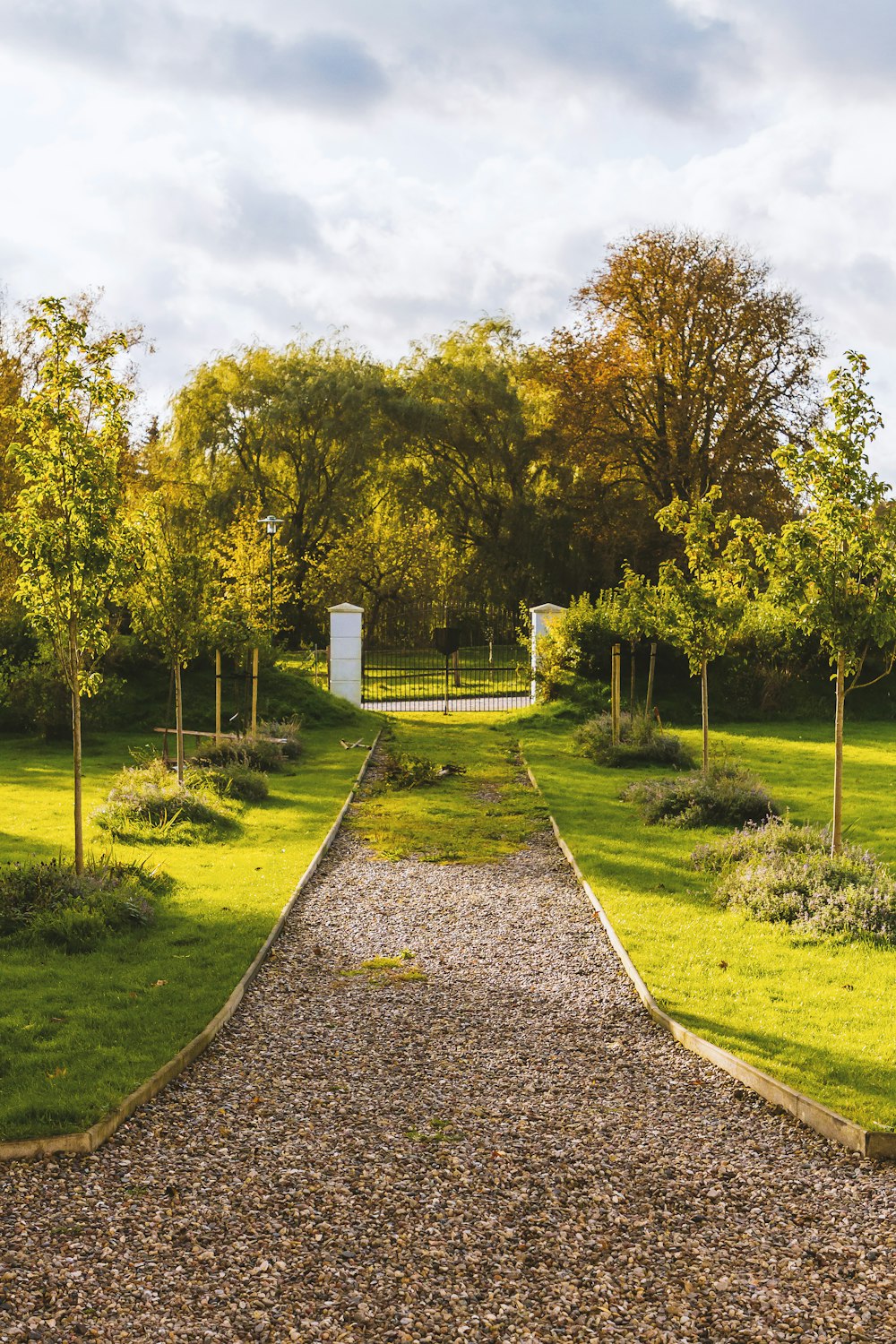 a path with grass and trees