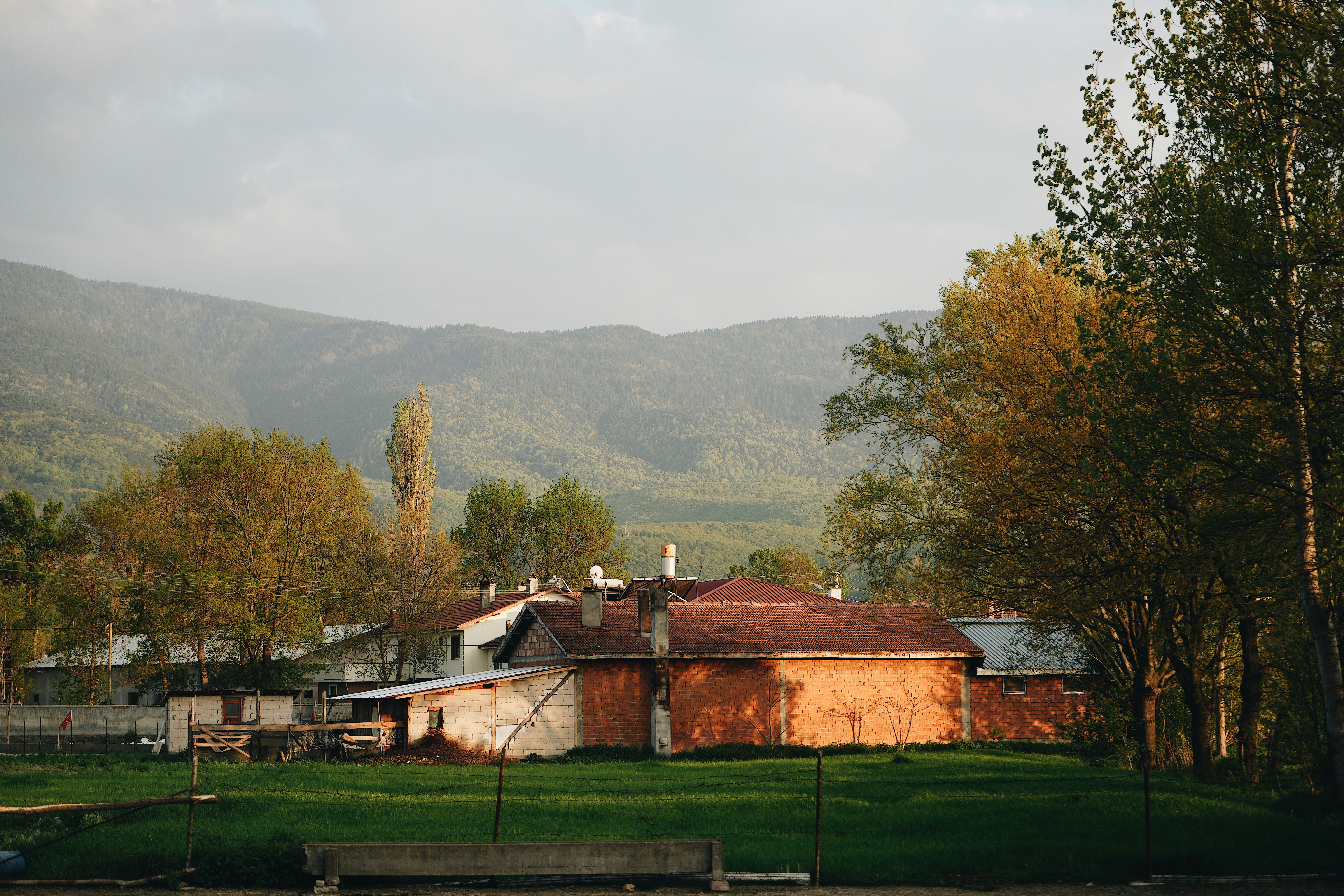 Photo by turgayozturk