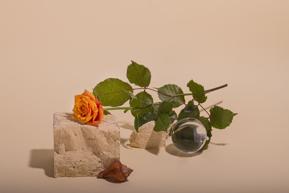 un vase de fleurs sur une table