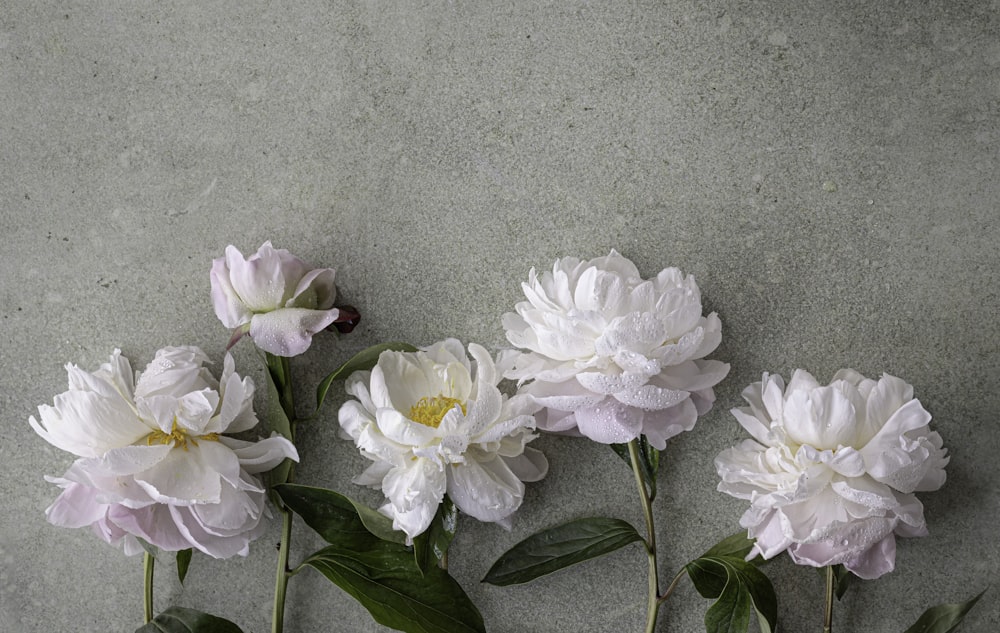 a vase of flowers on a table