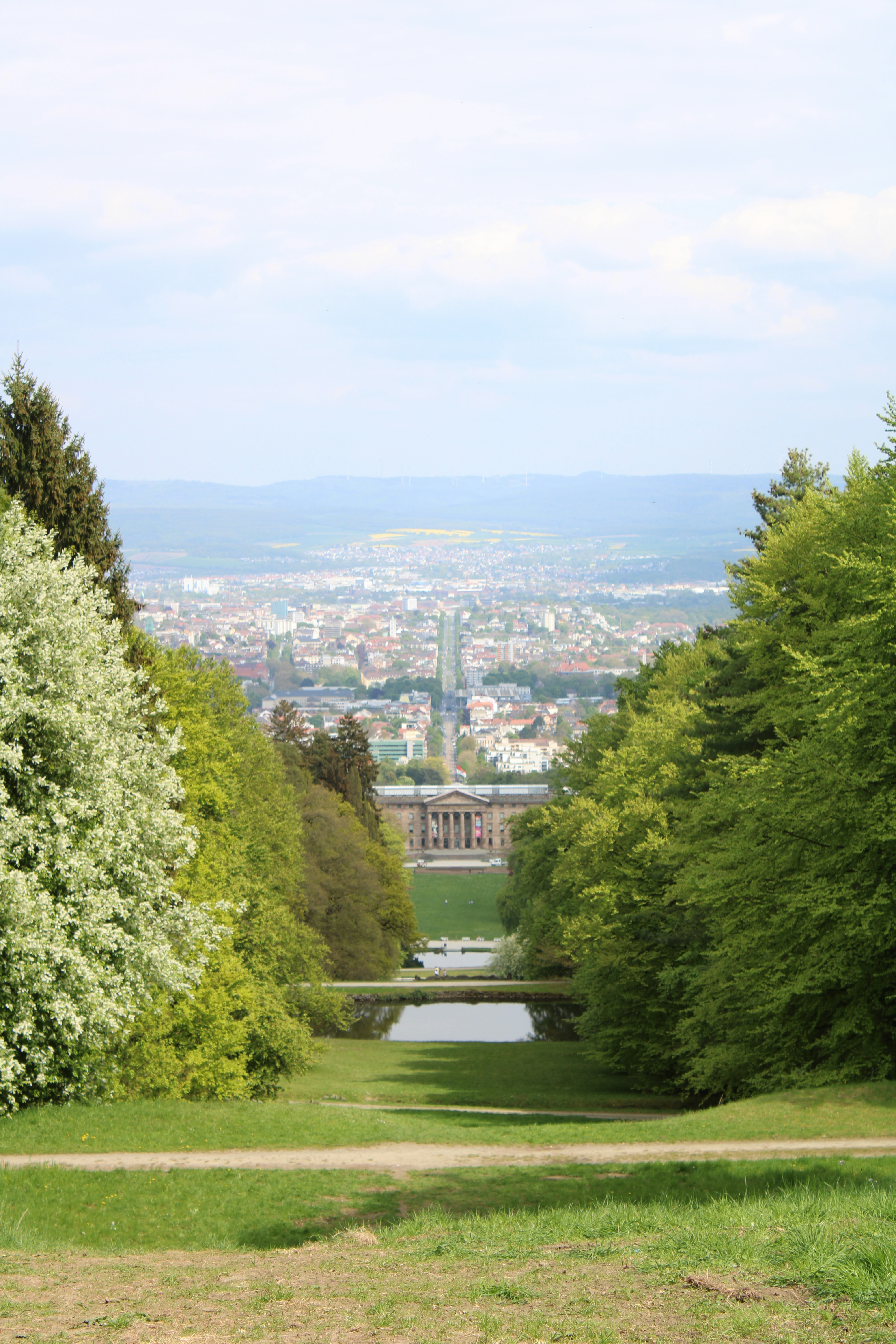 a park with a city in the background