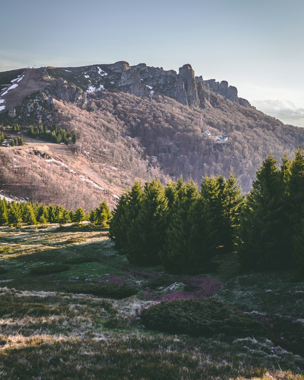 uma paisagem com árvores e montanhas ao fundo