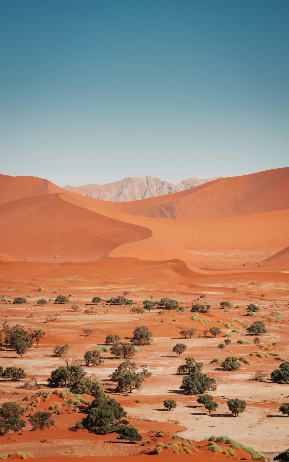 a desert landscape with sand dunes