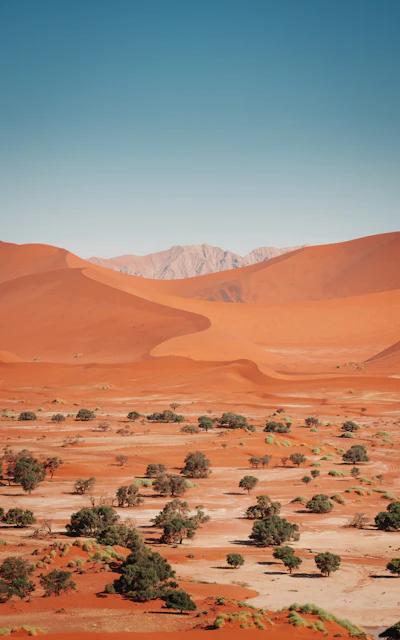 Dunes of the Namib desert