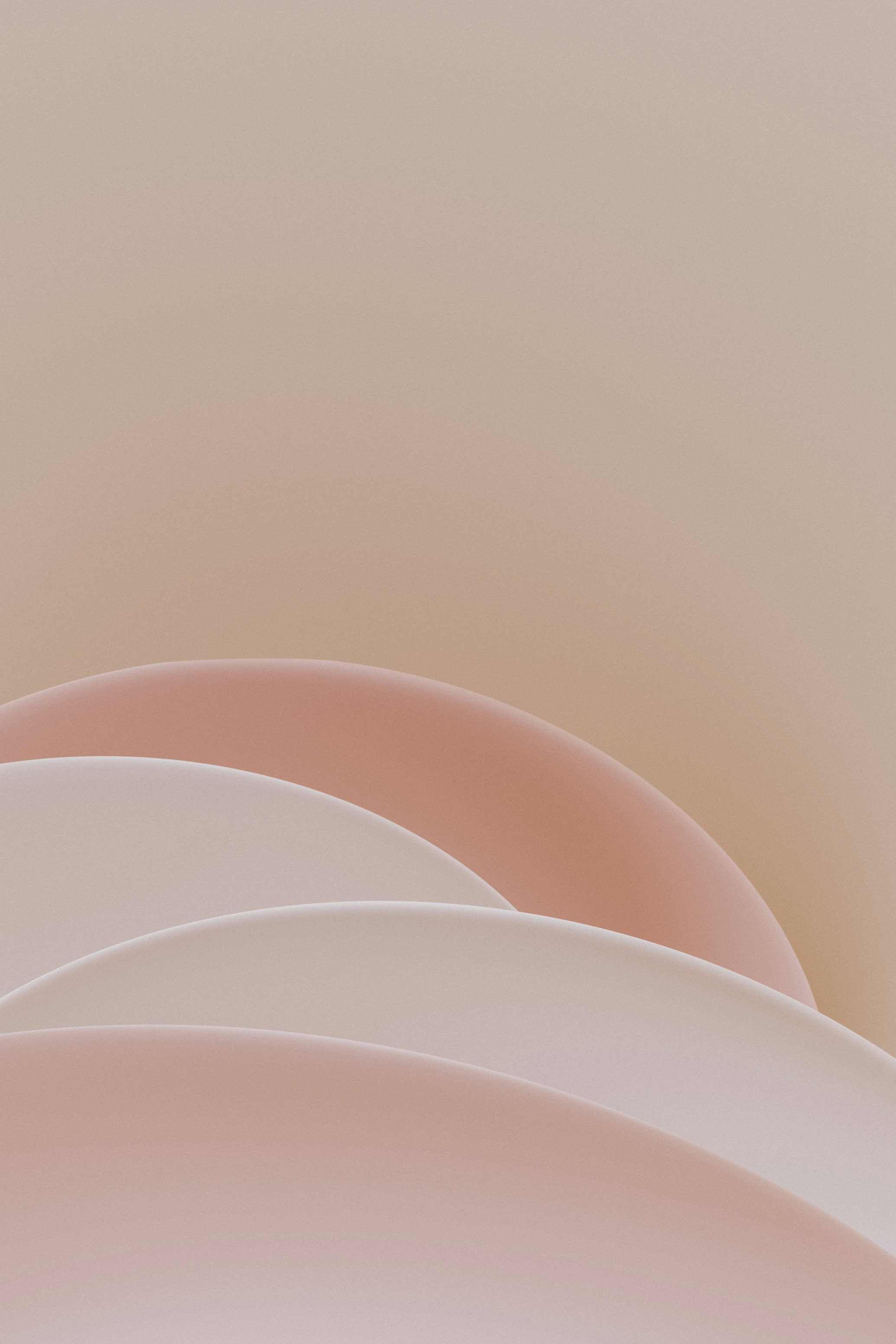 Don't see this image? Check your connection.