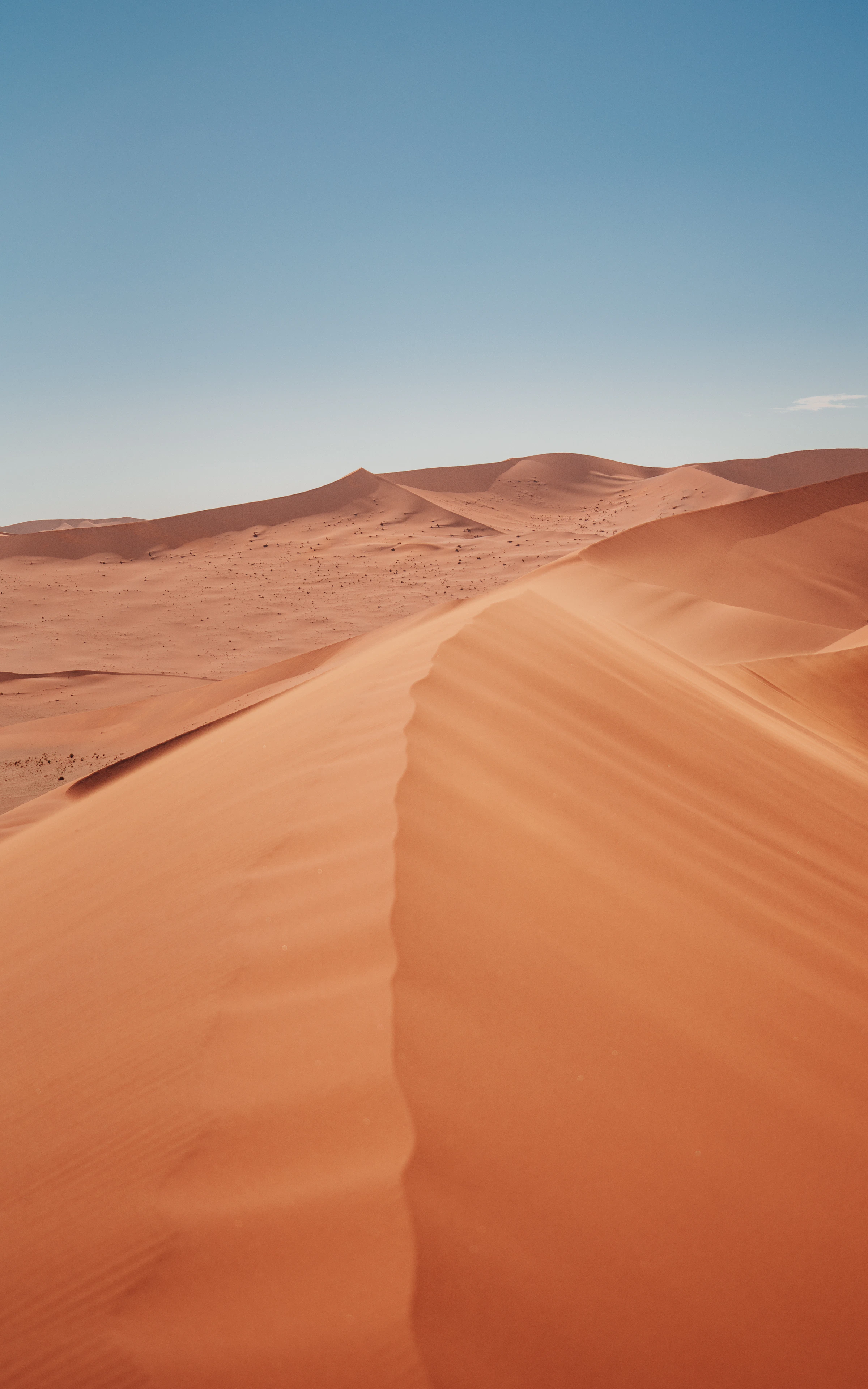 A sweep of pale sand dunes under a blue sky in Sossusvlei, Namibia