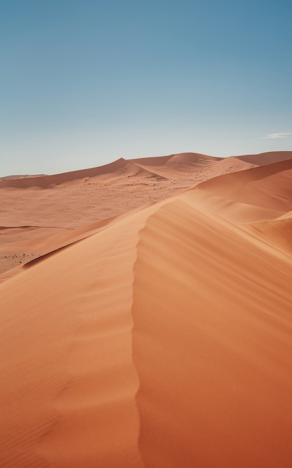 a desert landscape with sand dunes