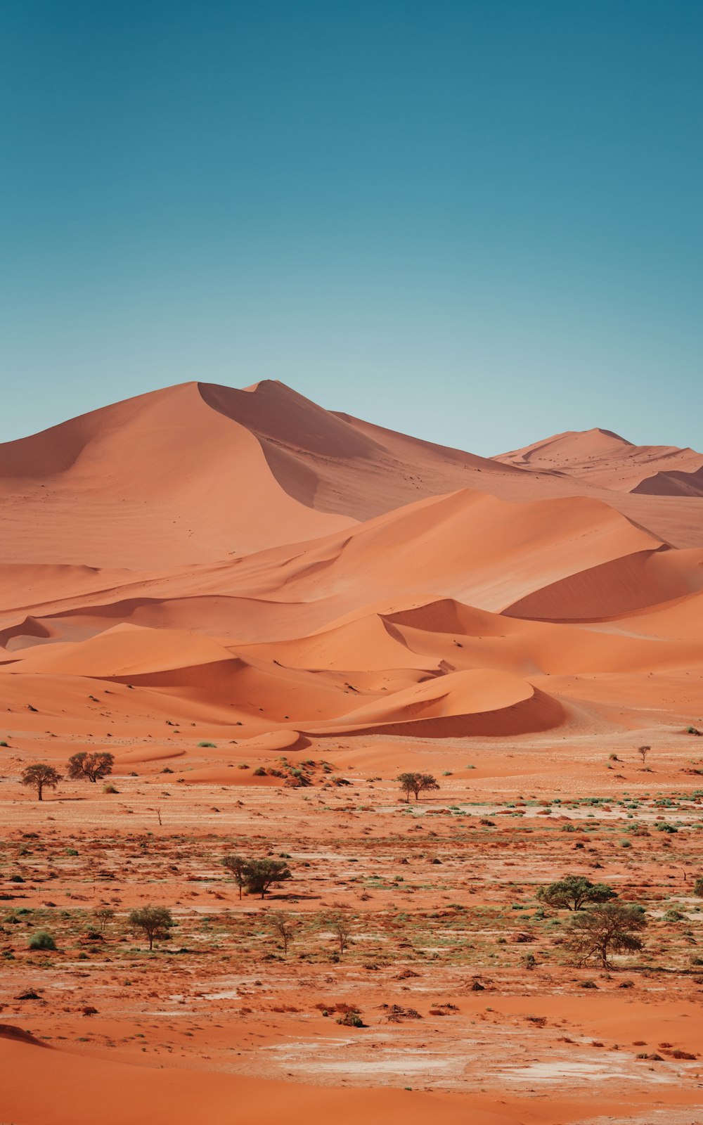 Un paesaggio desertico con dune di sabbia