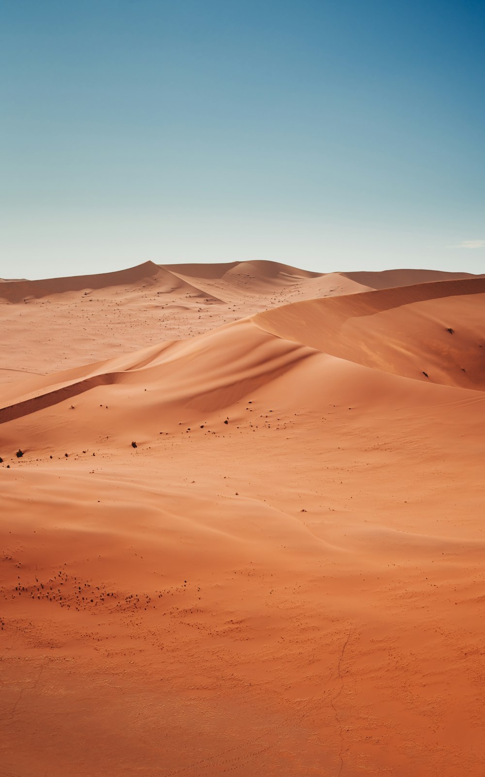 a desert landscape with sand dunes