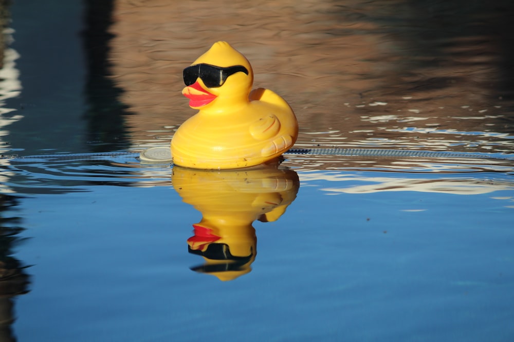 a yellow rubber duck floating on water
