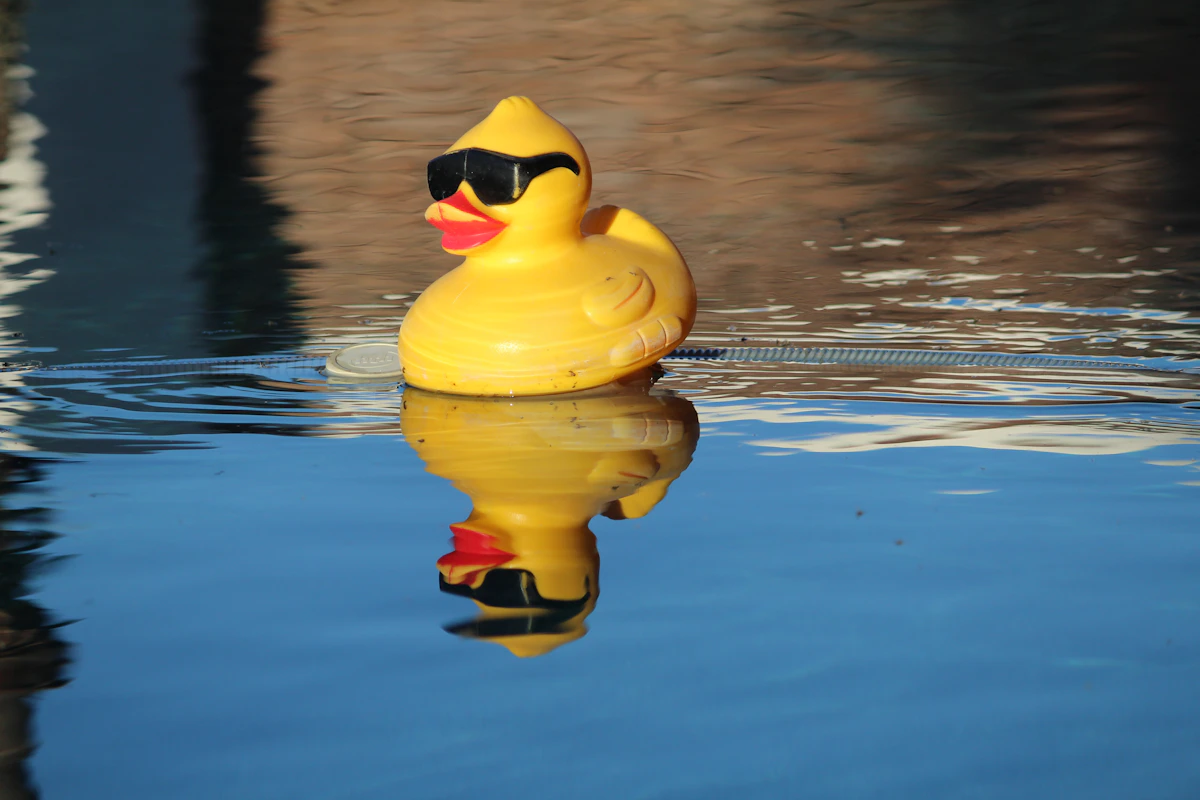 Gelbe Quietscheente im Wasser