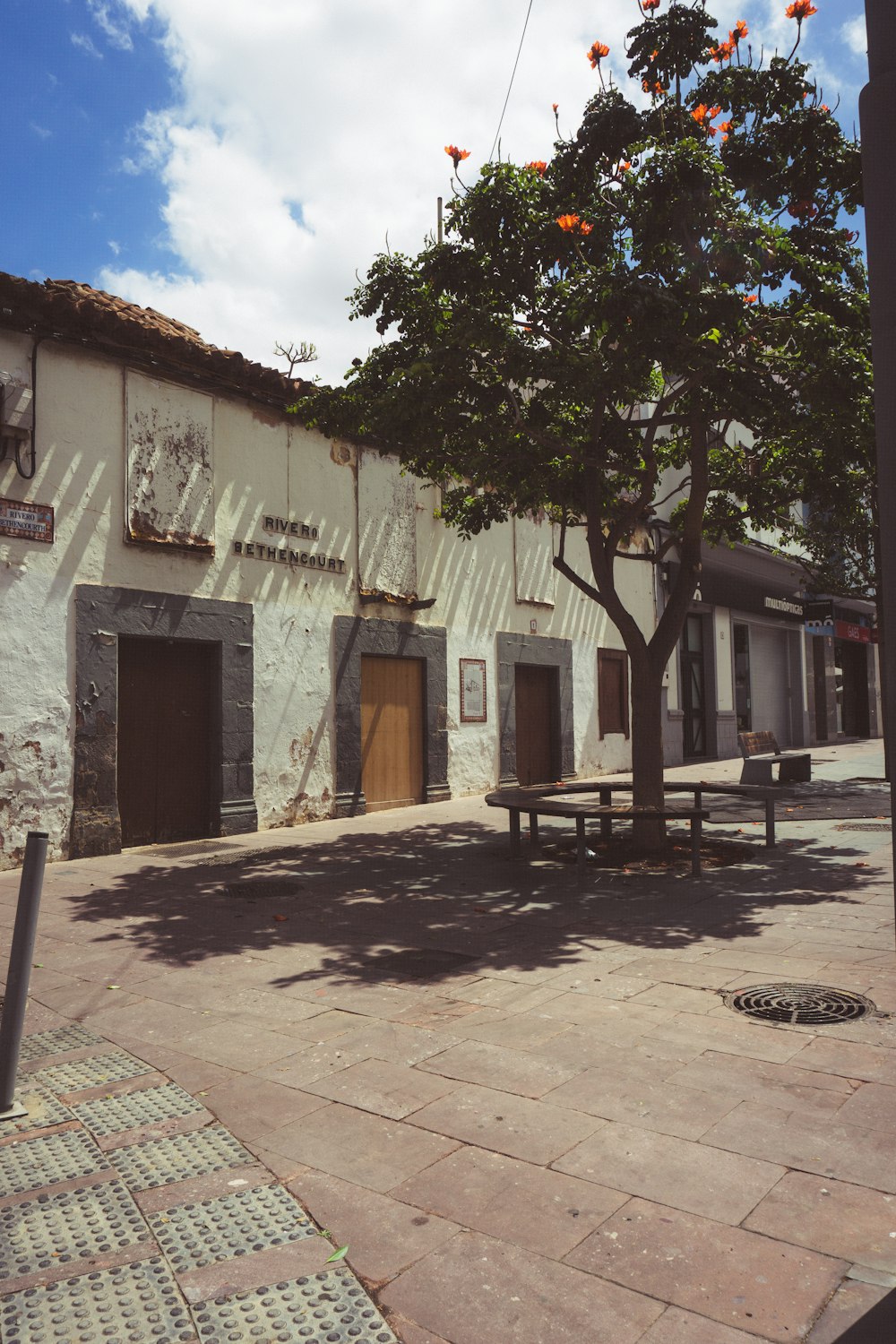 a tree in front of a building