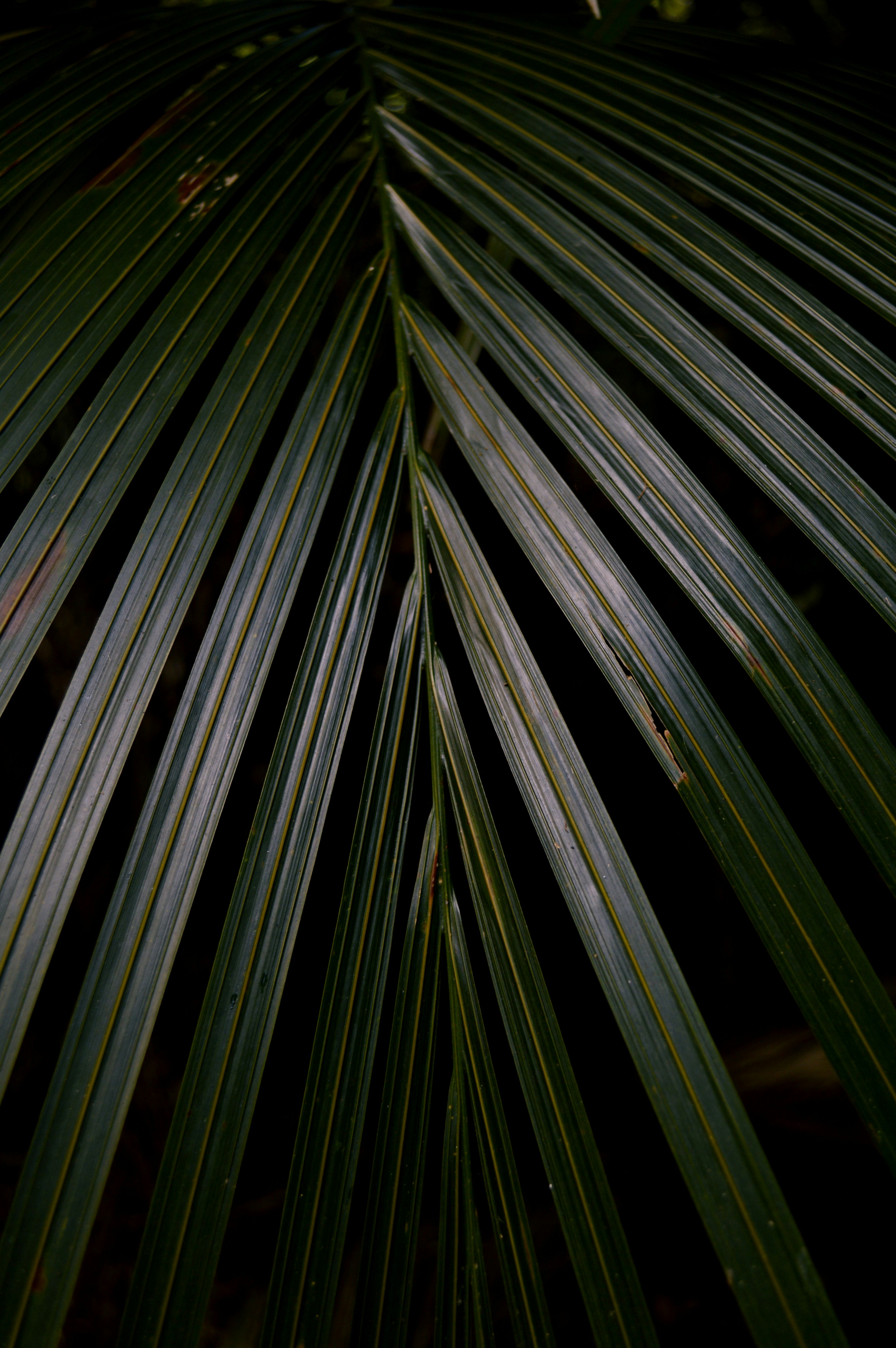 Photo by turnthewalds