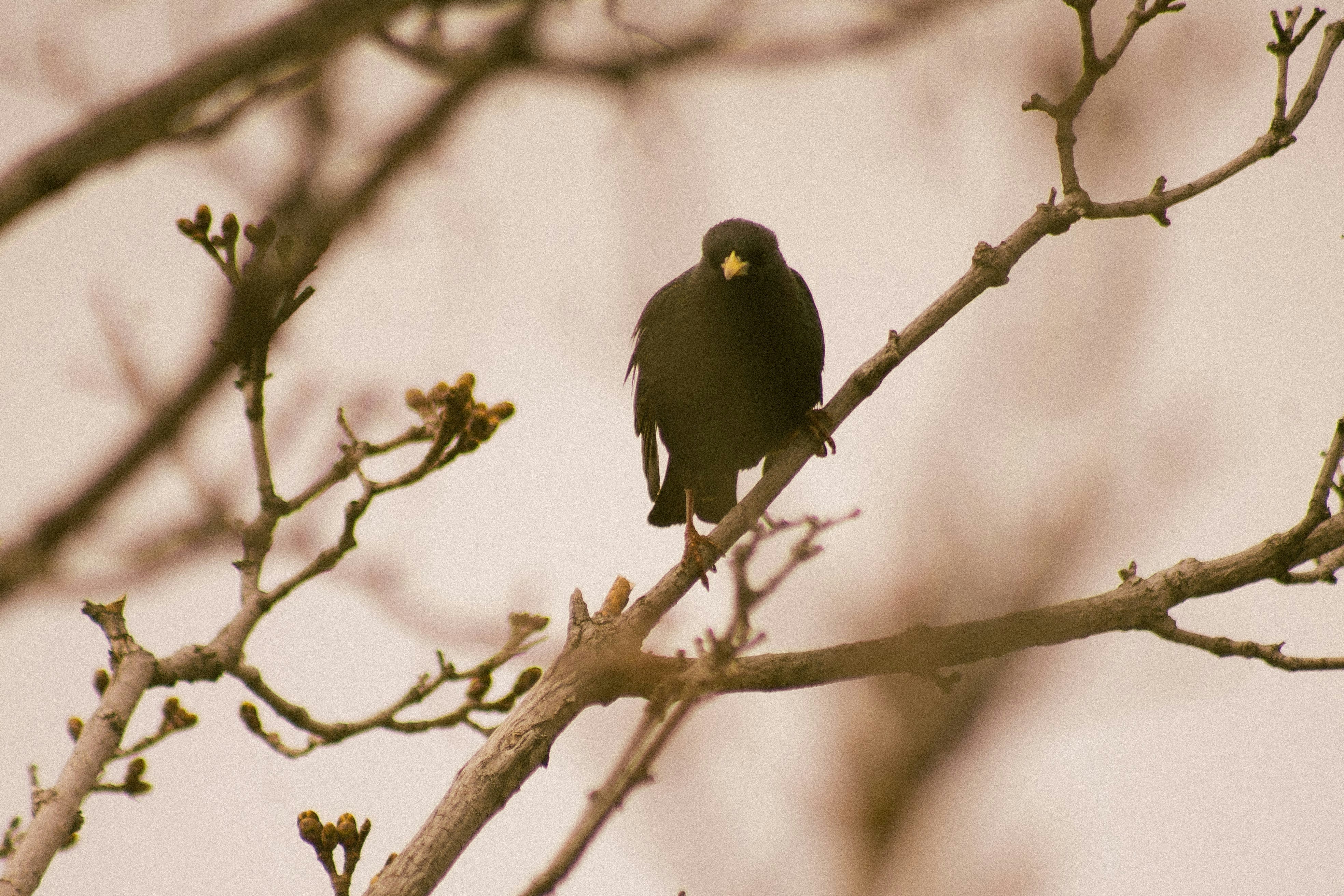 Photo by dylanleonard