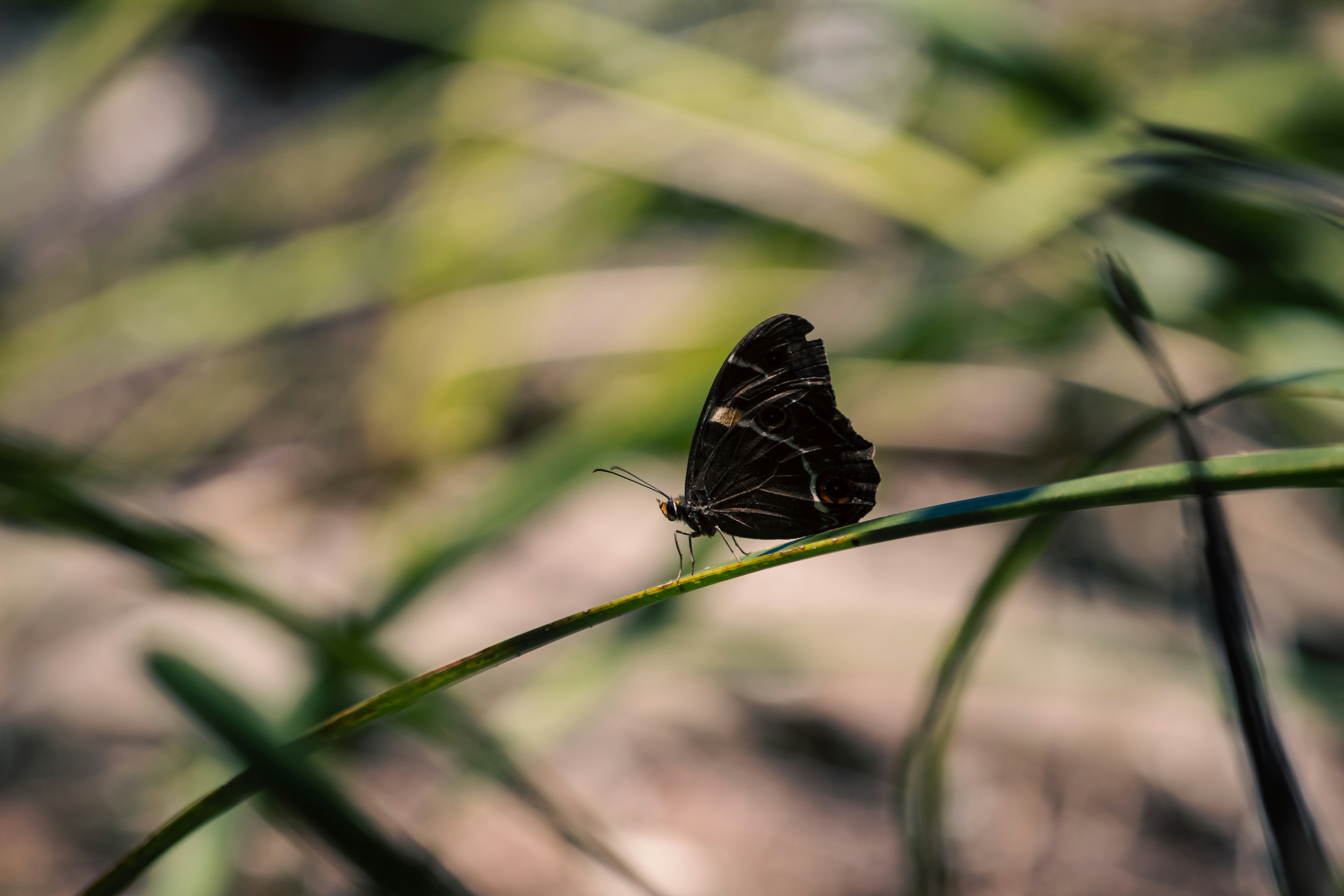 Photo by iliya9