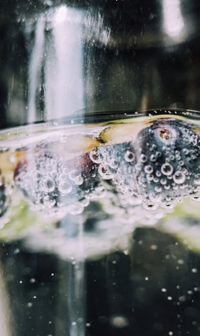 Blueberry in mid-play, capturing joyful energy and bright eyes