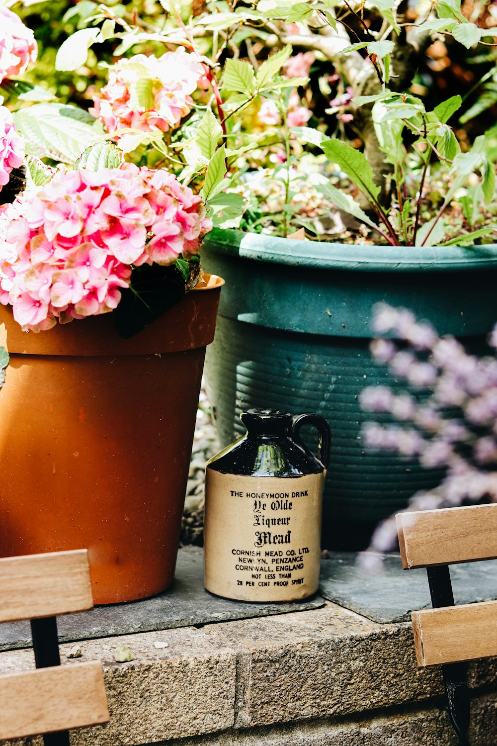 a couple of potted plants