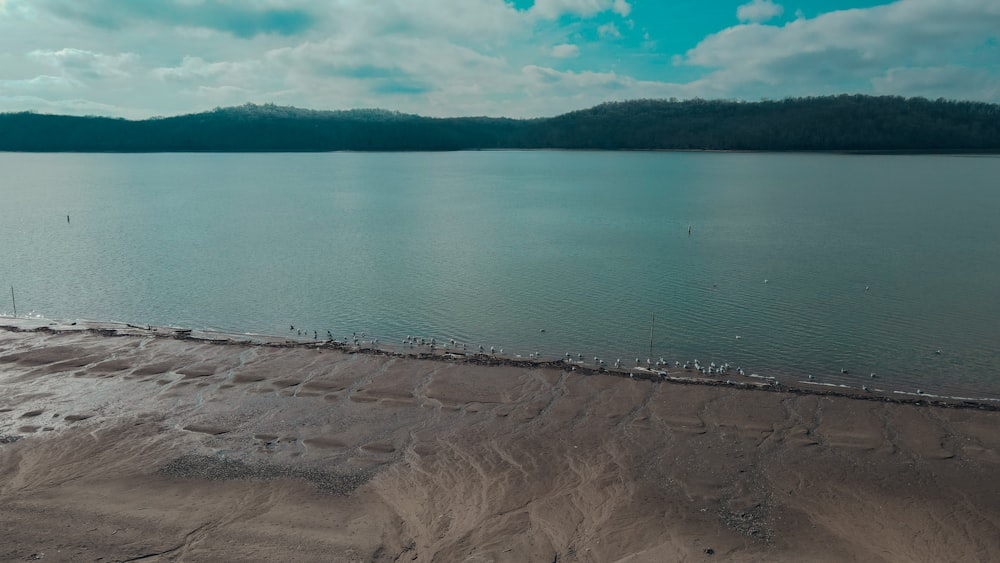 a beach with a body of water