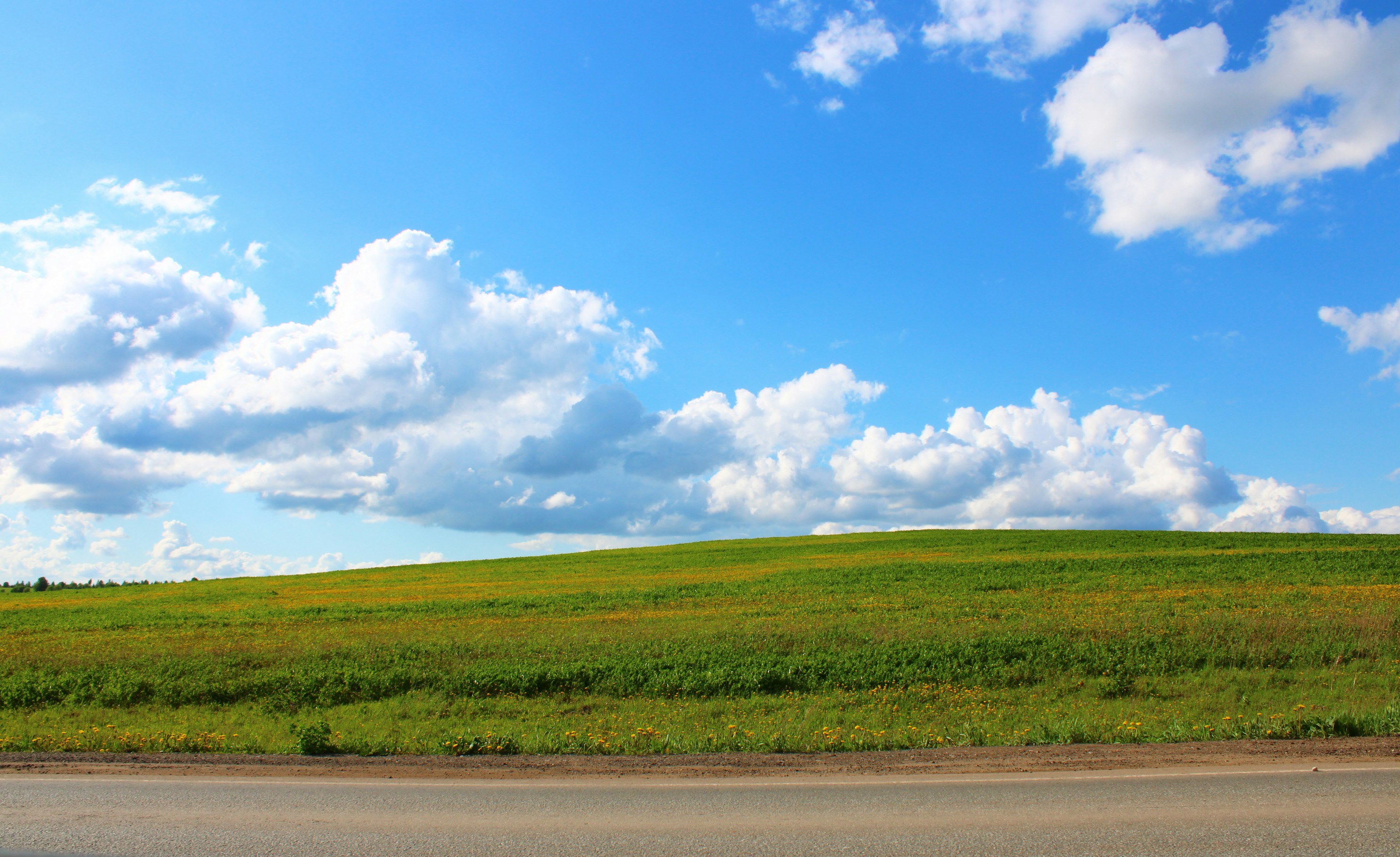 Photo by slenderamigo