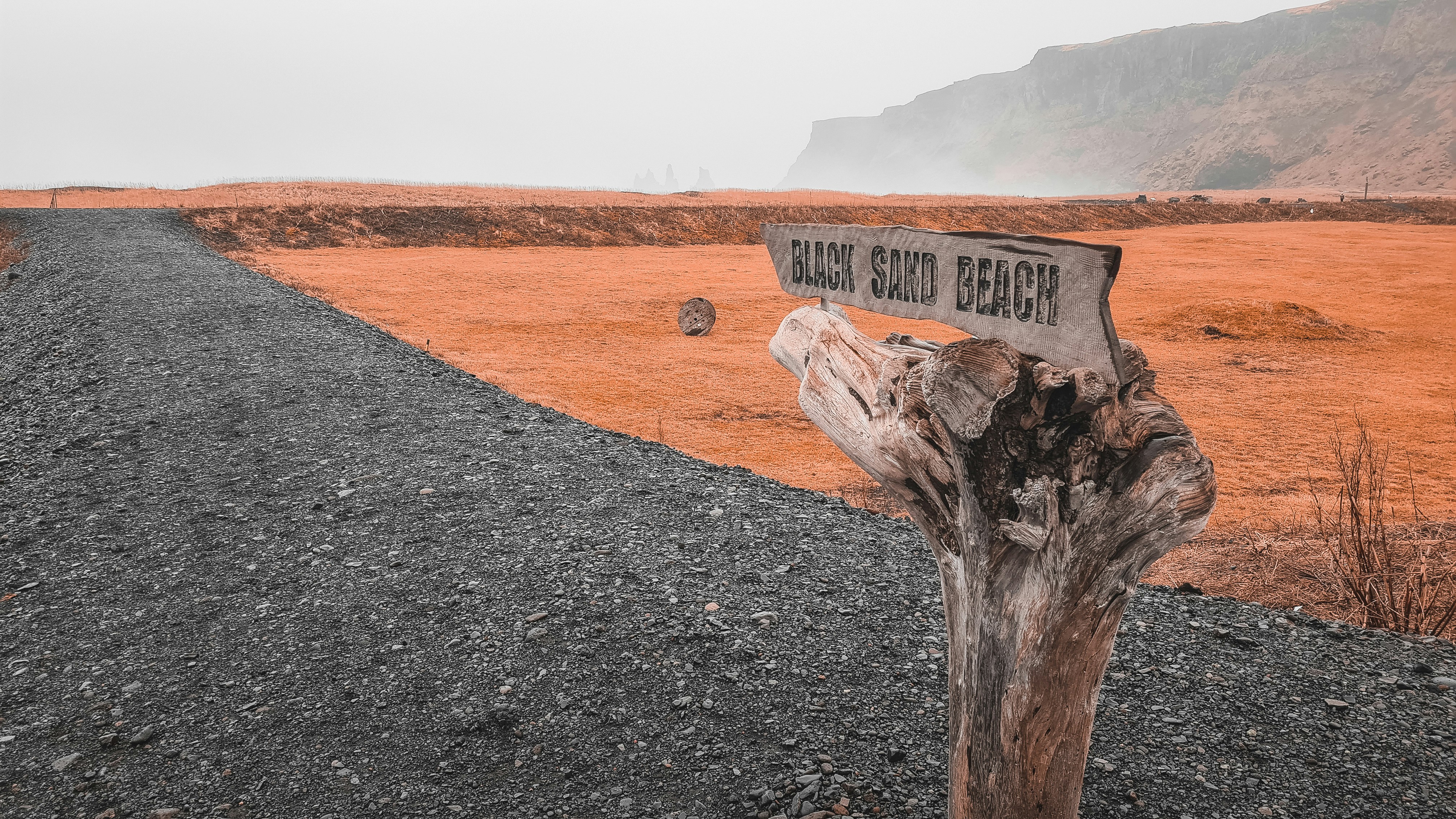 a sign on a tree stump