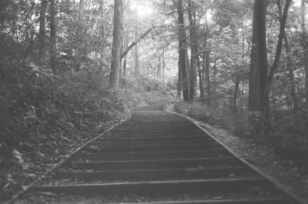 a wooden staircase in a forest