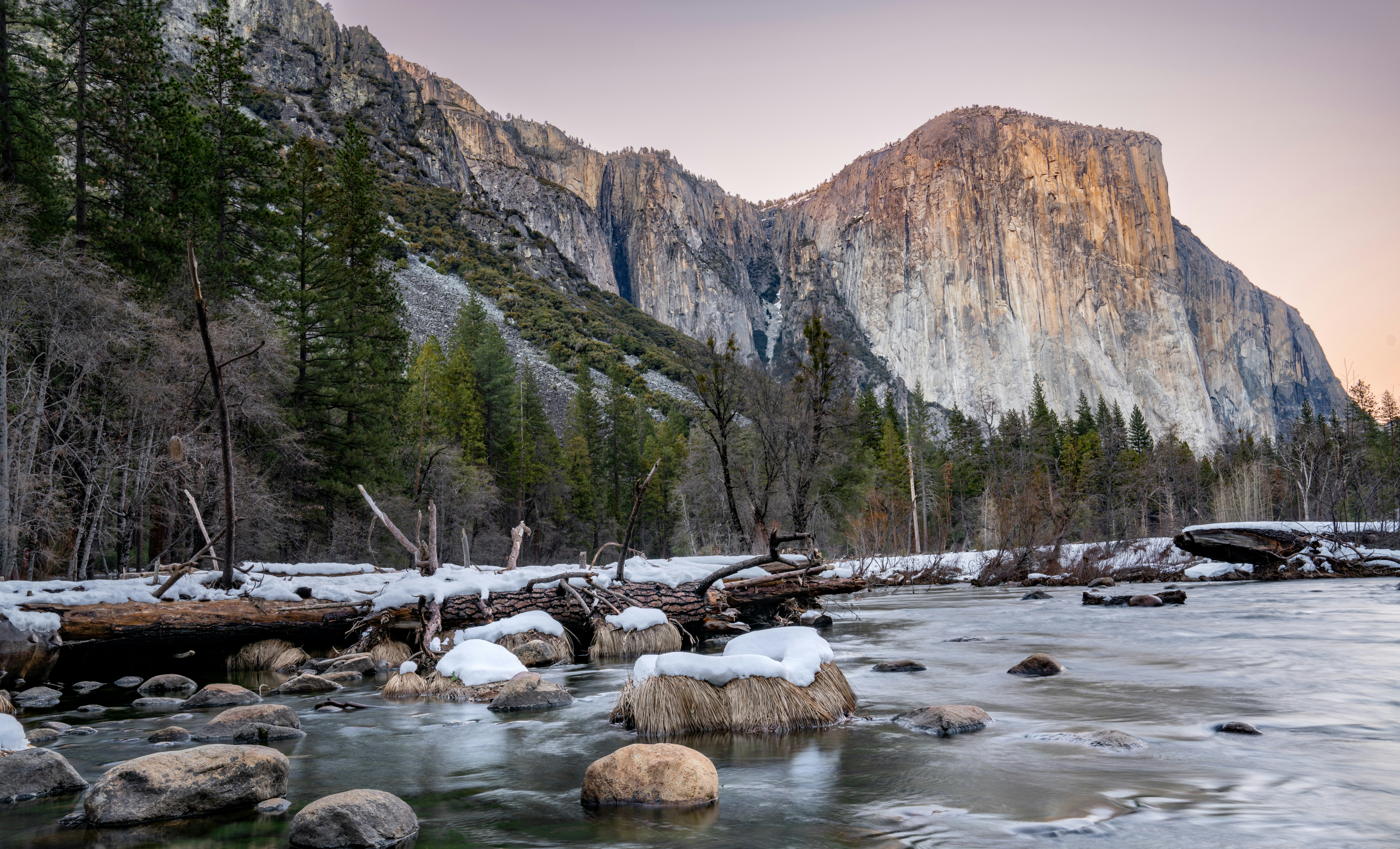 Photo by happy_pixel