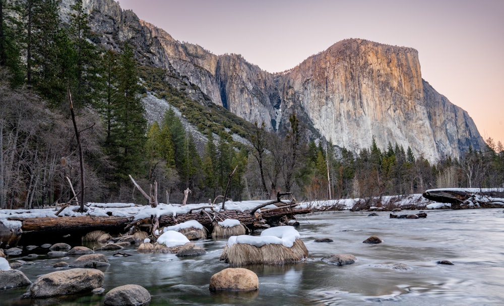 a river with rocks and trees